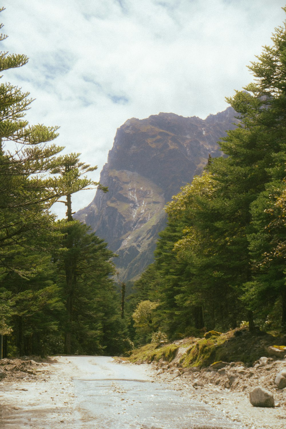 a dirt road surrounded by trees and mountains