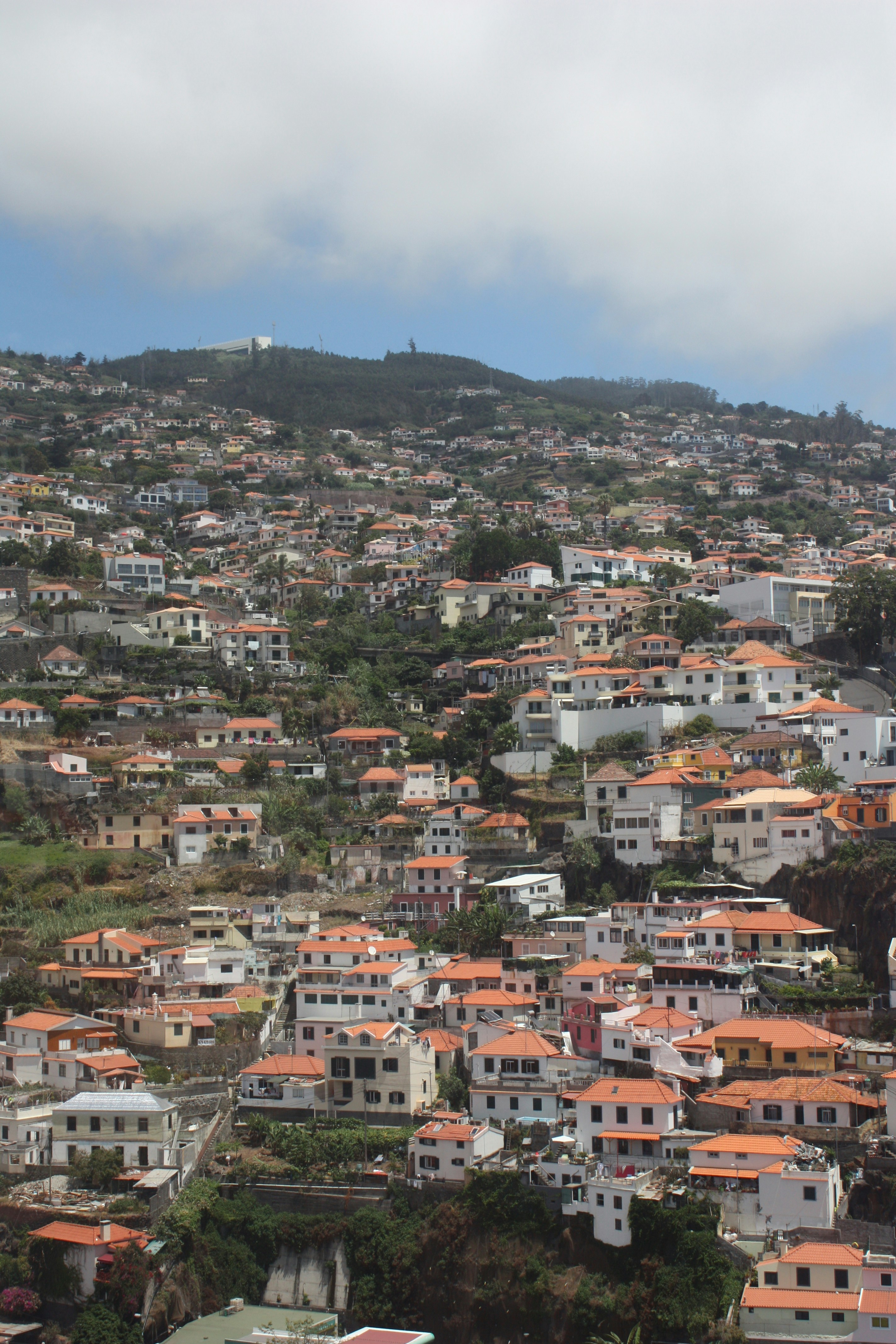 Photo by hellophotos16