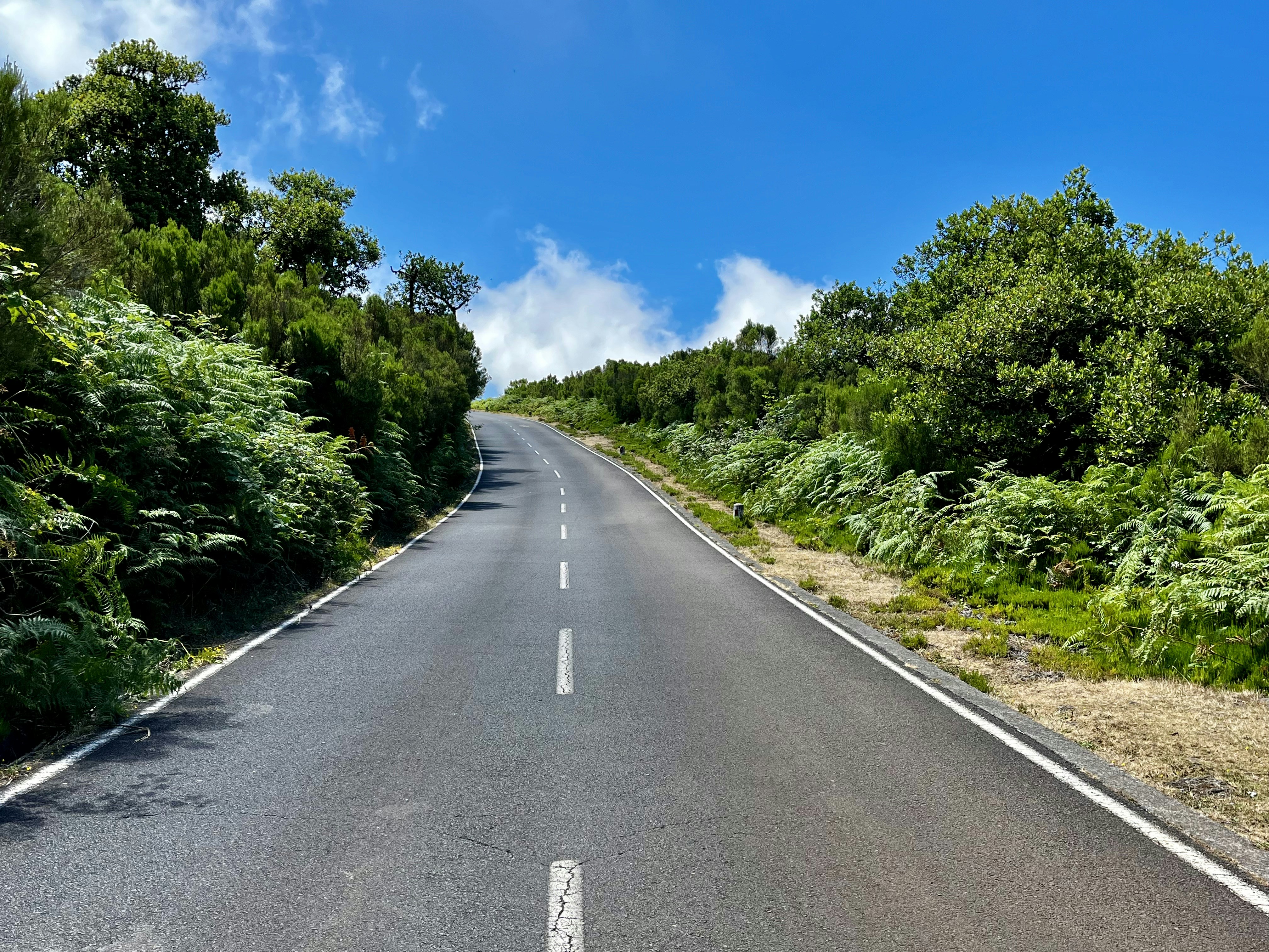 Photo by hellophotos16