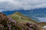 A scenic view of a grassy hill with a winding trail leading up to the top. In the background, cloudy skies cover distant mountains, and a body of water can be seen to the right. In the foreground, there are blooming purple flowers and green foliage.