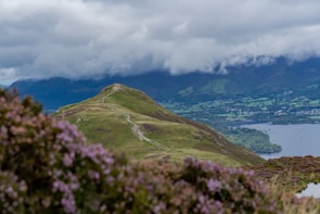 A scenic view of a grassy hill with a winding trail leading up to the top. In the background, cloudy skies cover distant mountains, and a body of water can be seen to the right. In the foreground, there are blooming purple flowers and green foliage.