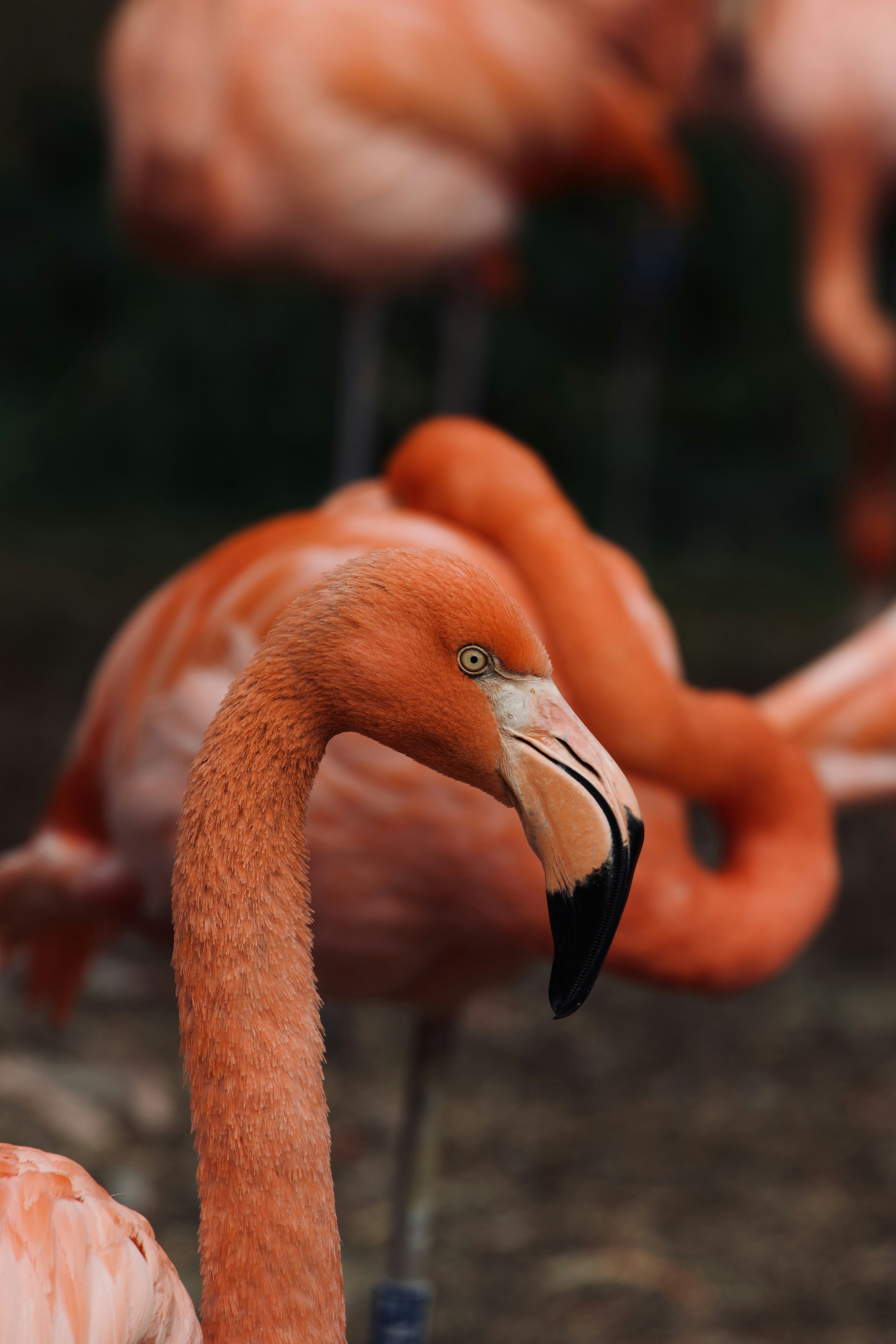 Photo by jakub_neskora