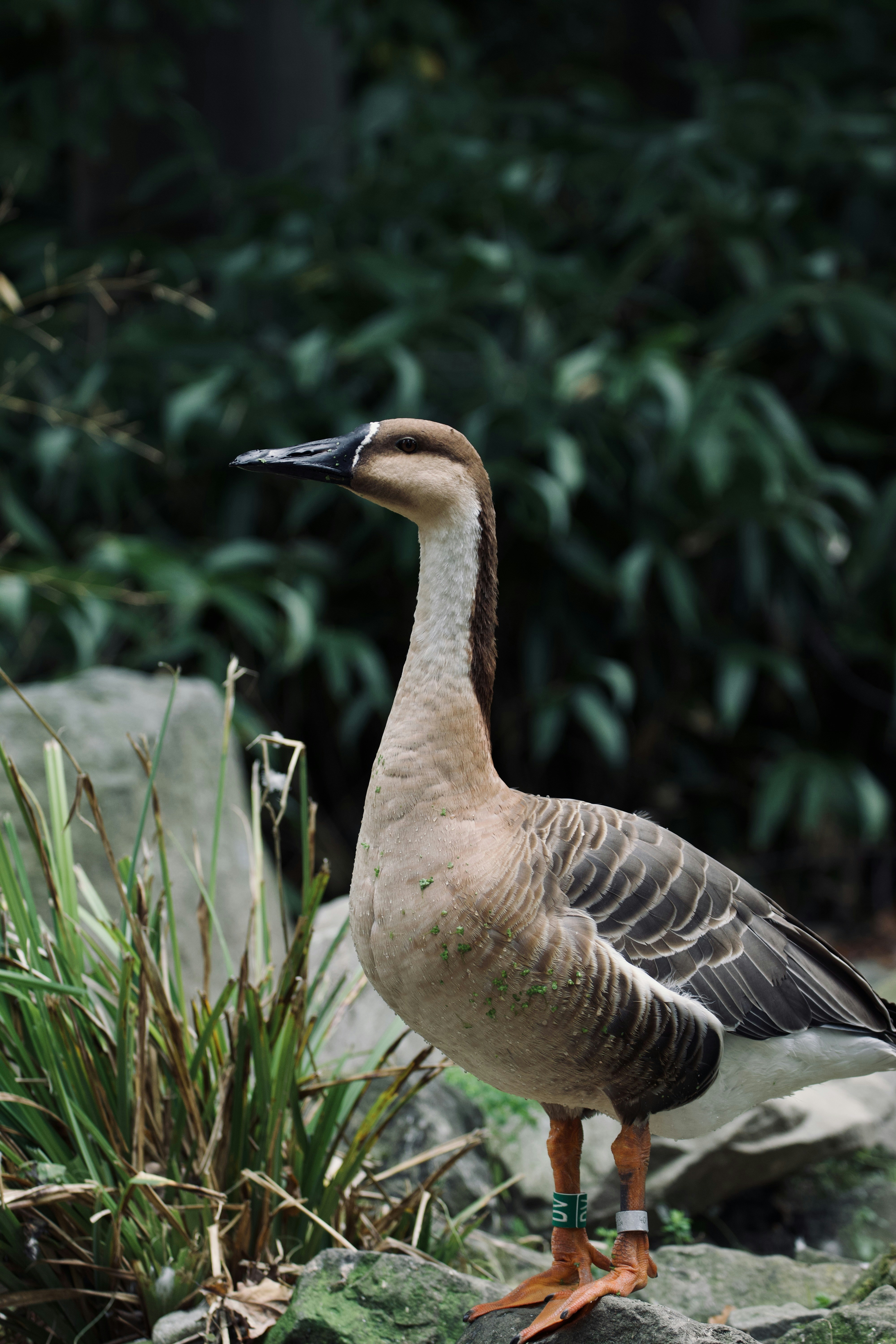 Photo by jakub_neskora