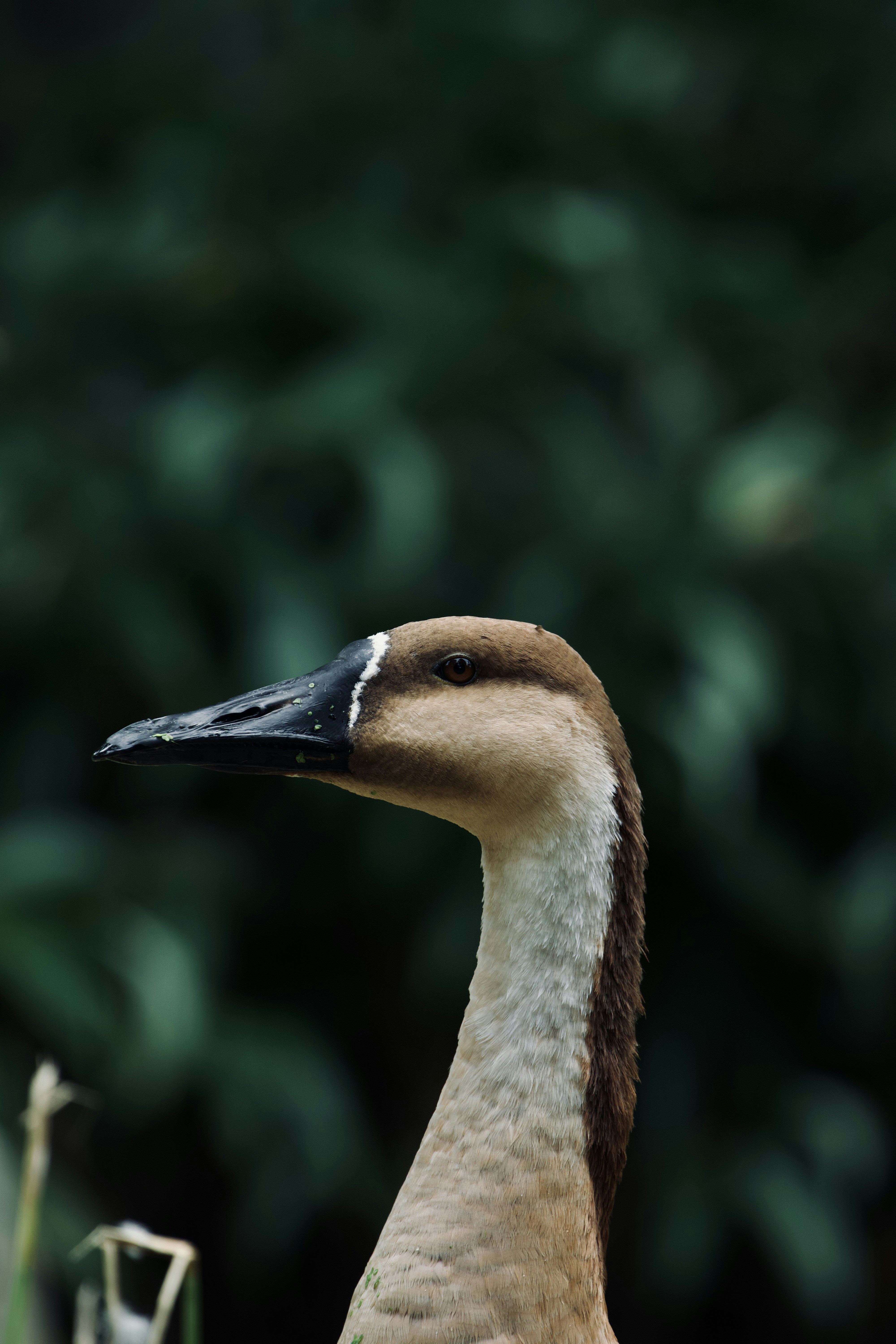 Photo by jakub_neskora