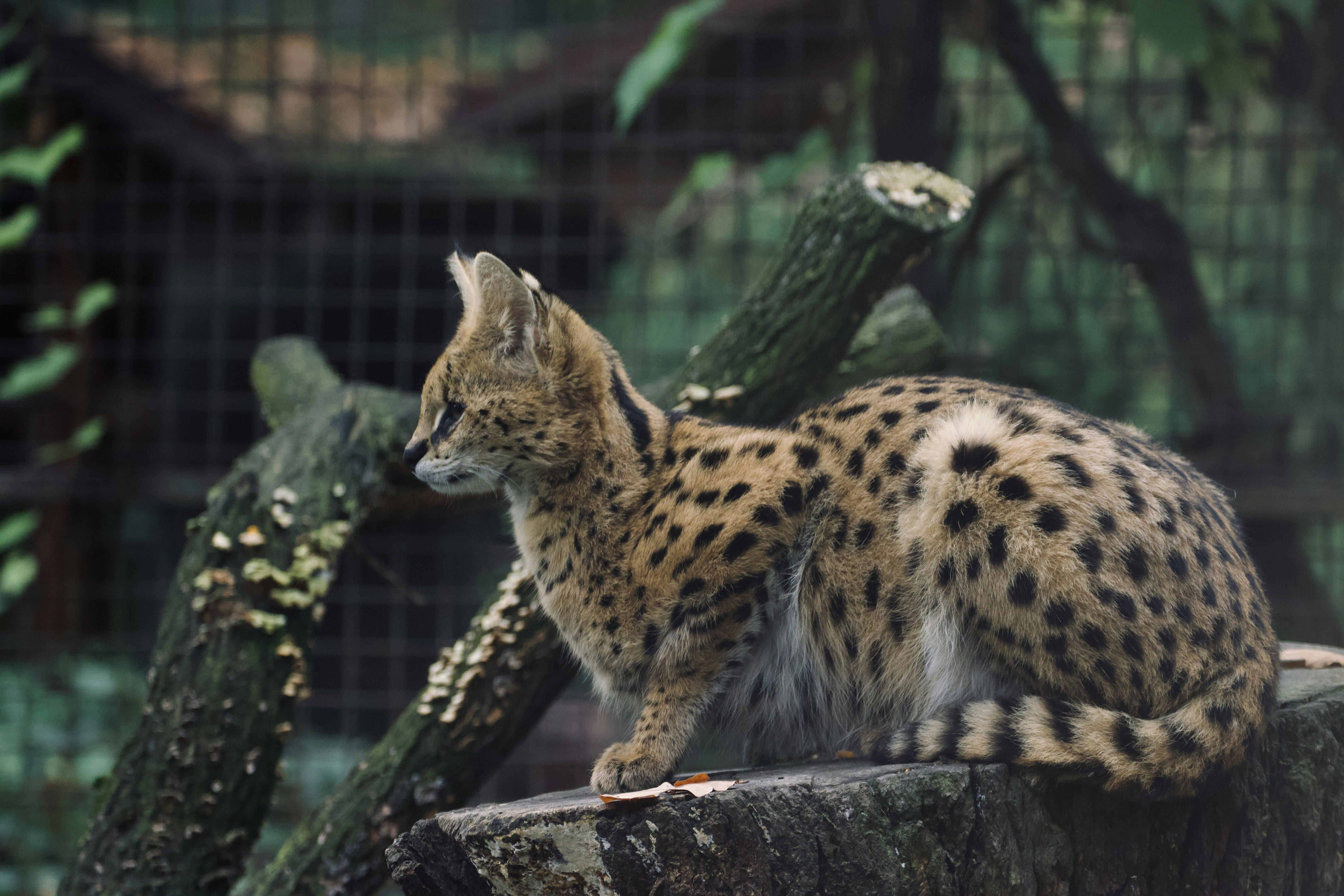 Photo by jakub_neskora