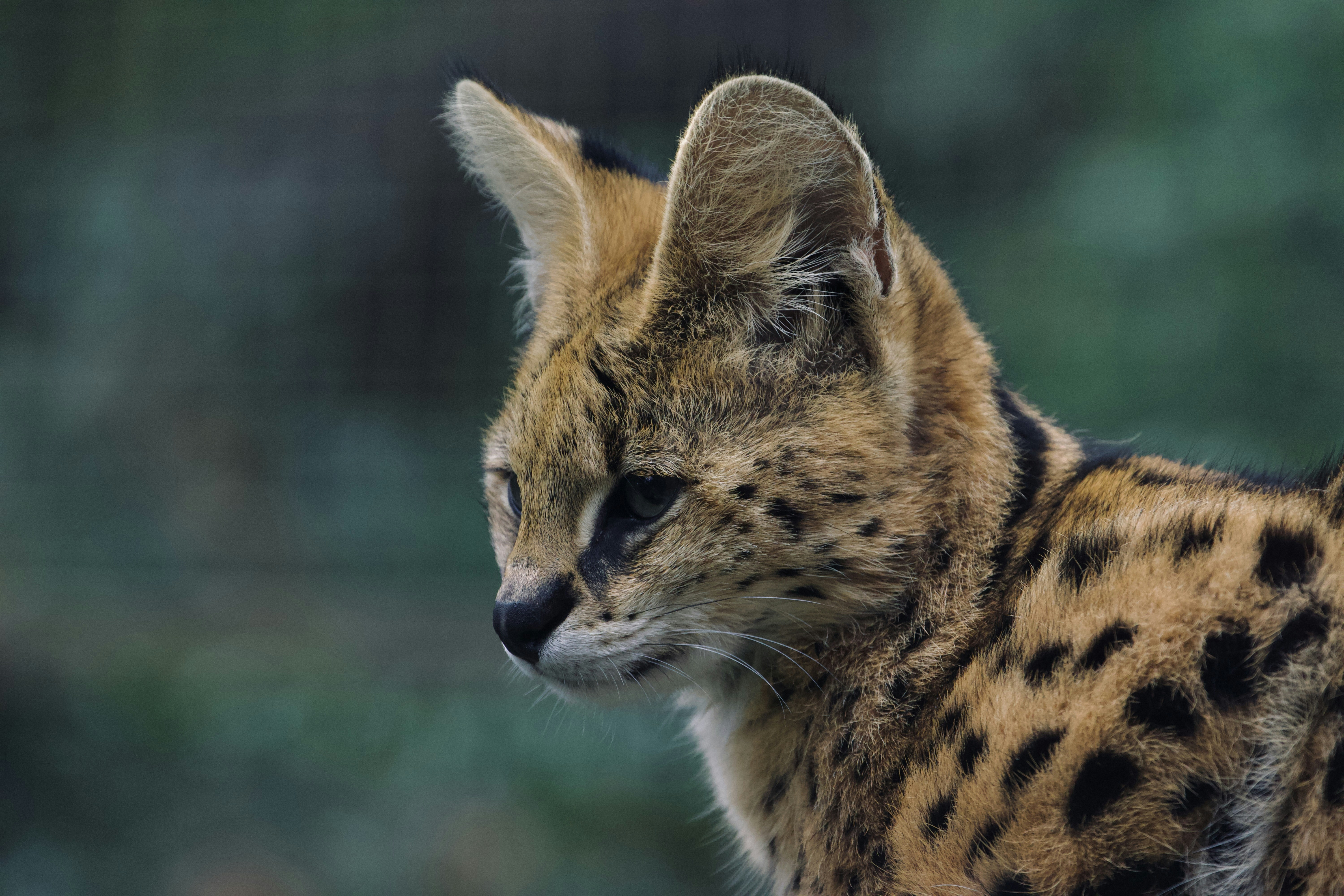 Photo by jakub_neskora