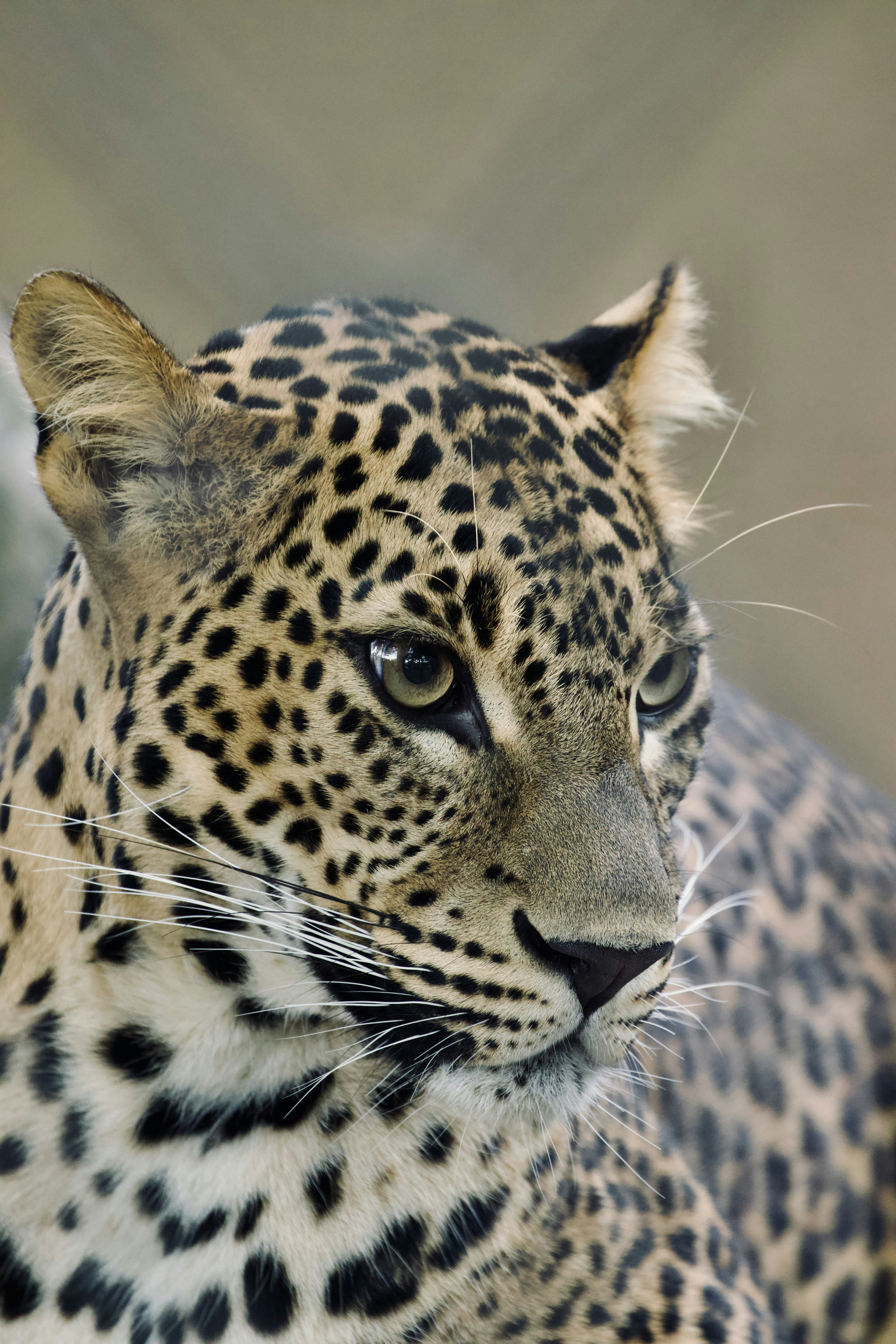 Photo by jakub_neskora