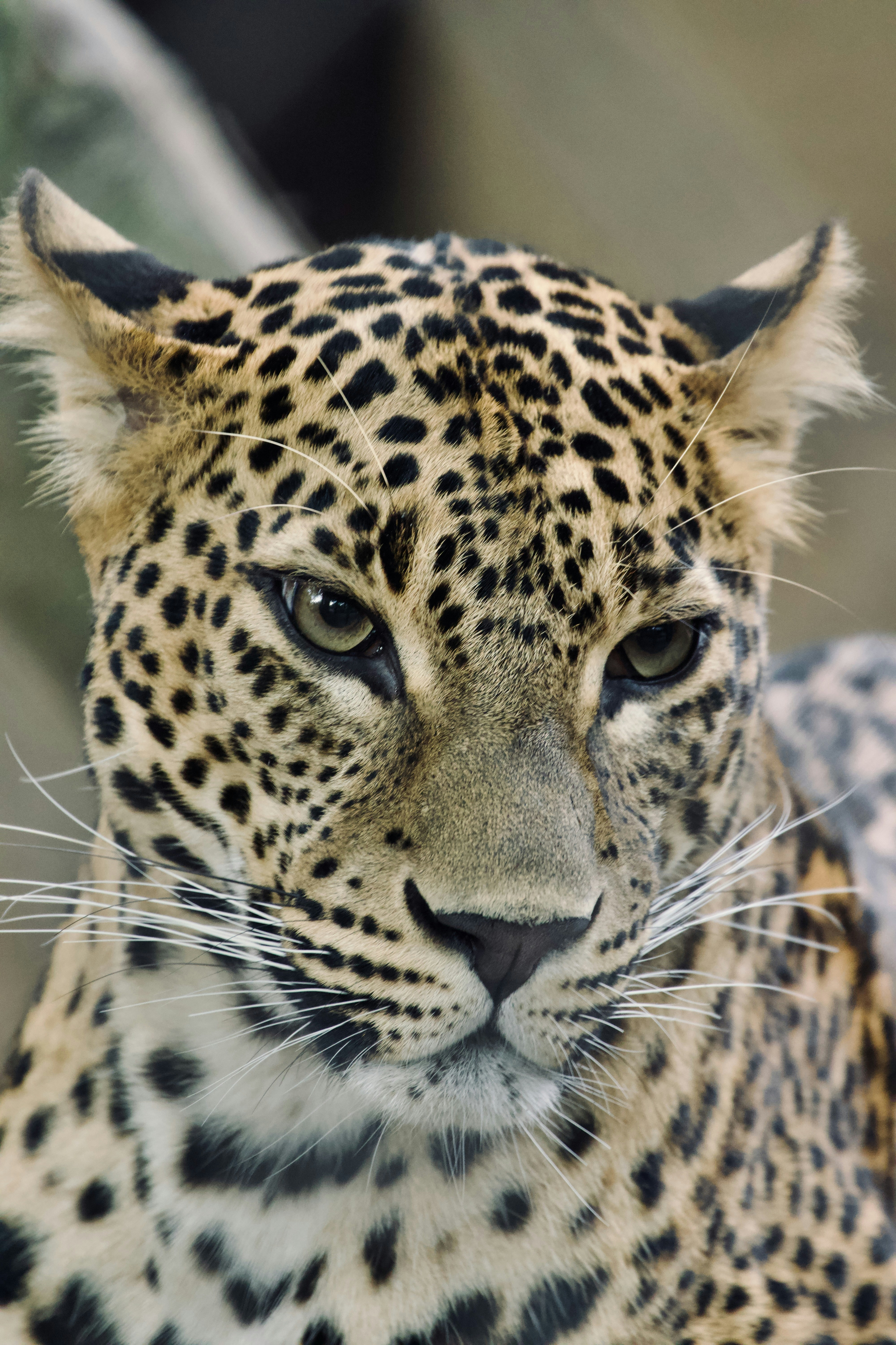 Photo by jakub_neskora