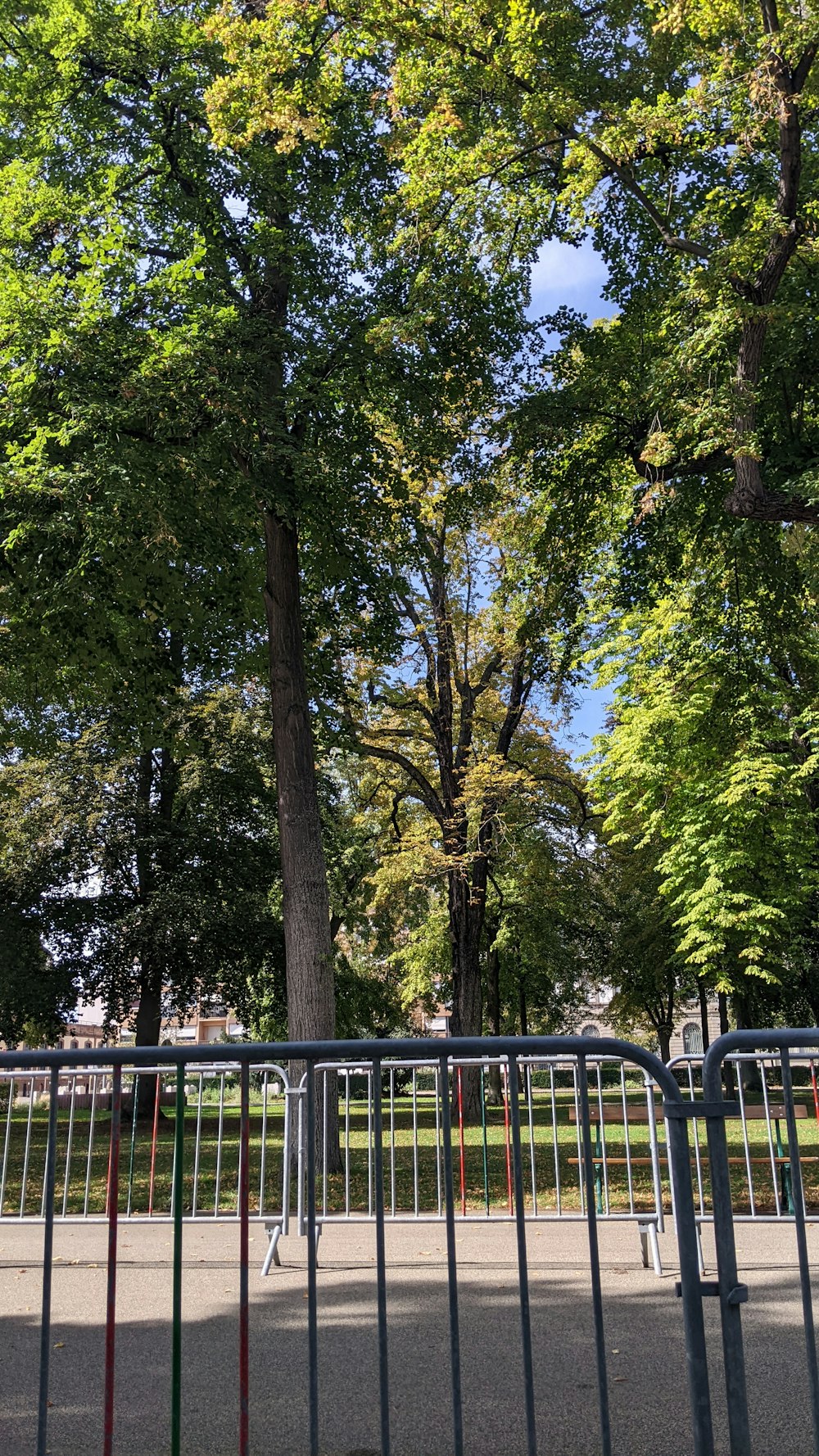 a park with a metal fence and a large tree