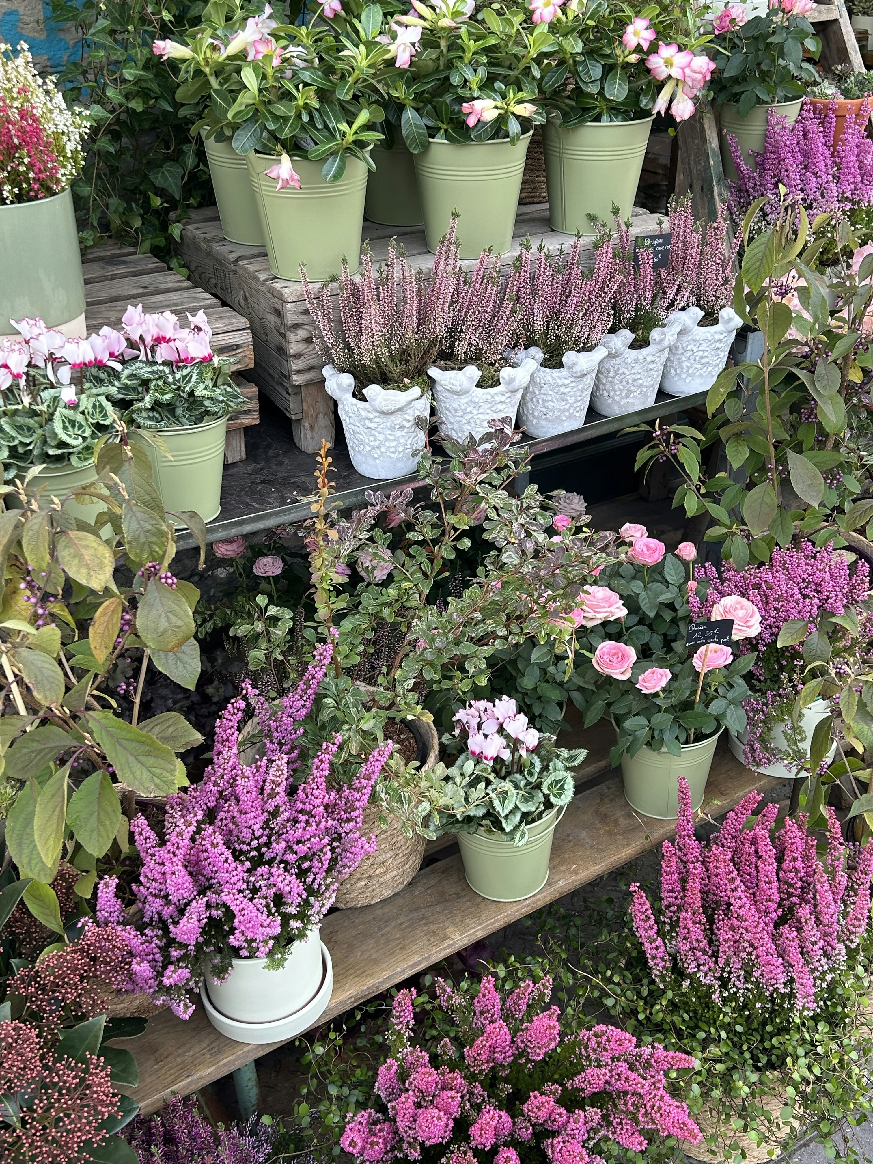 Photo by clementine63