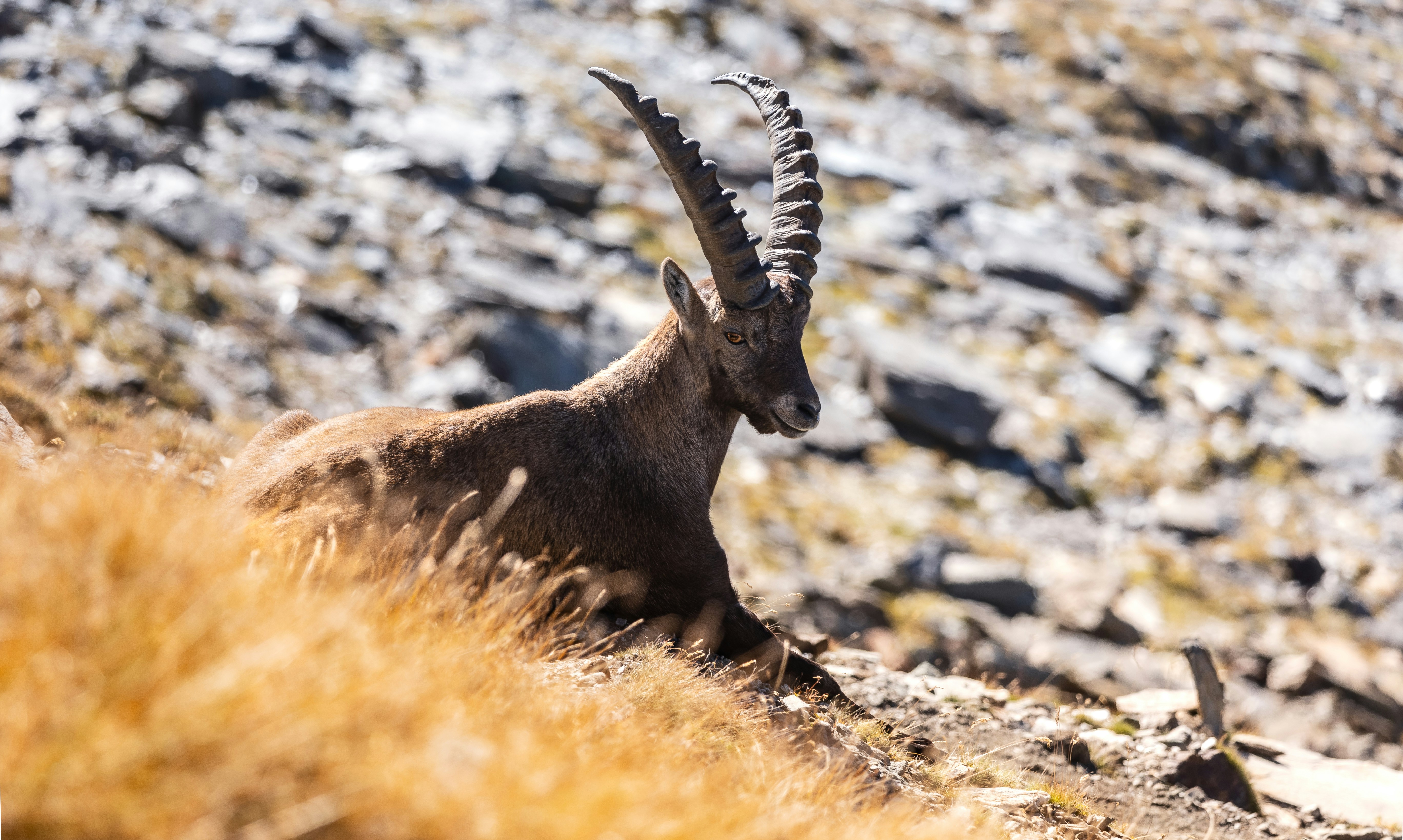 Photo by marekpiwnicki