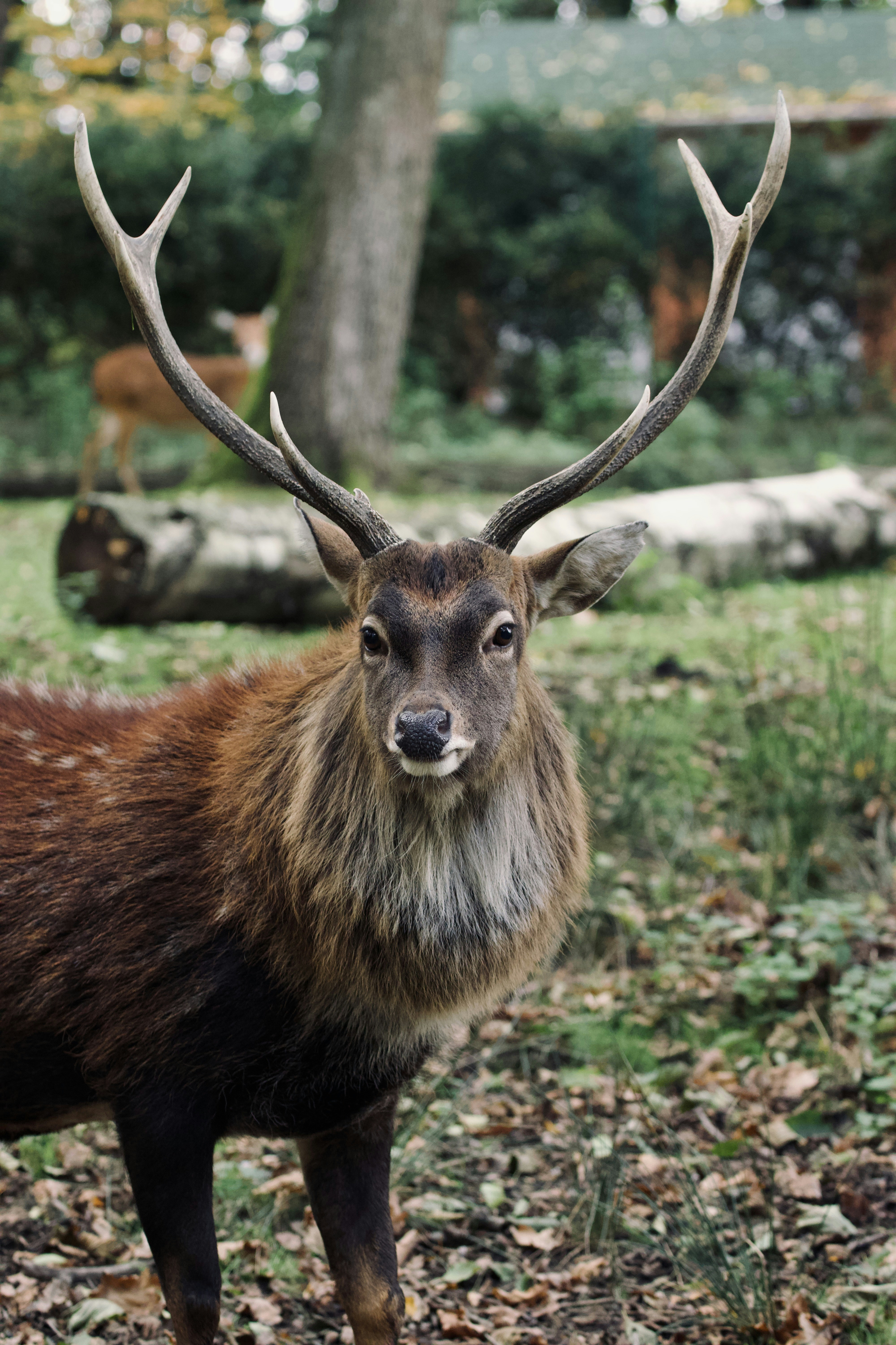 Photo by jakub_neskora