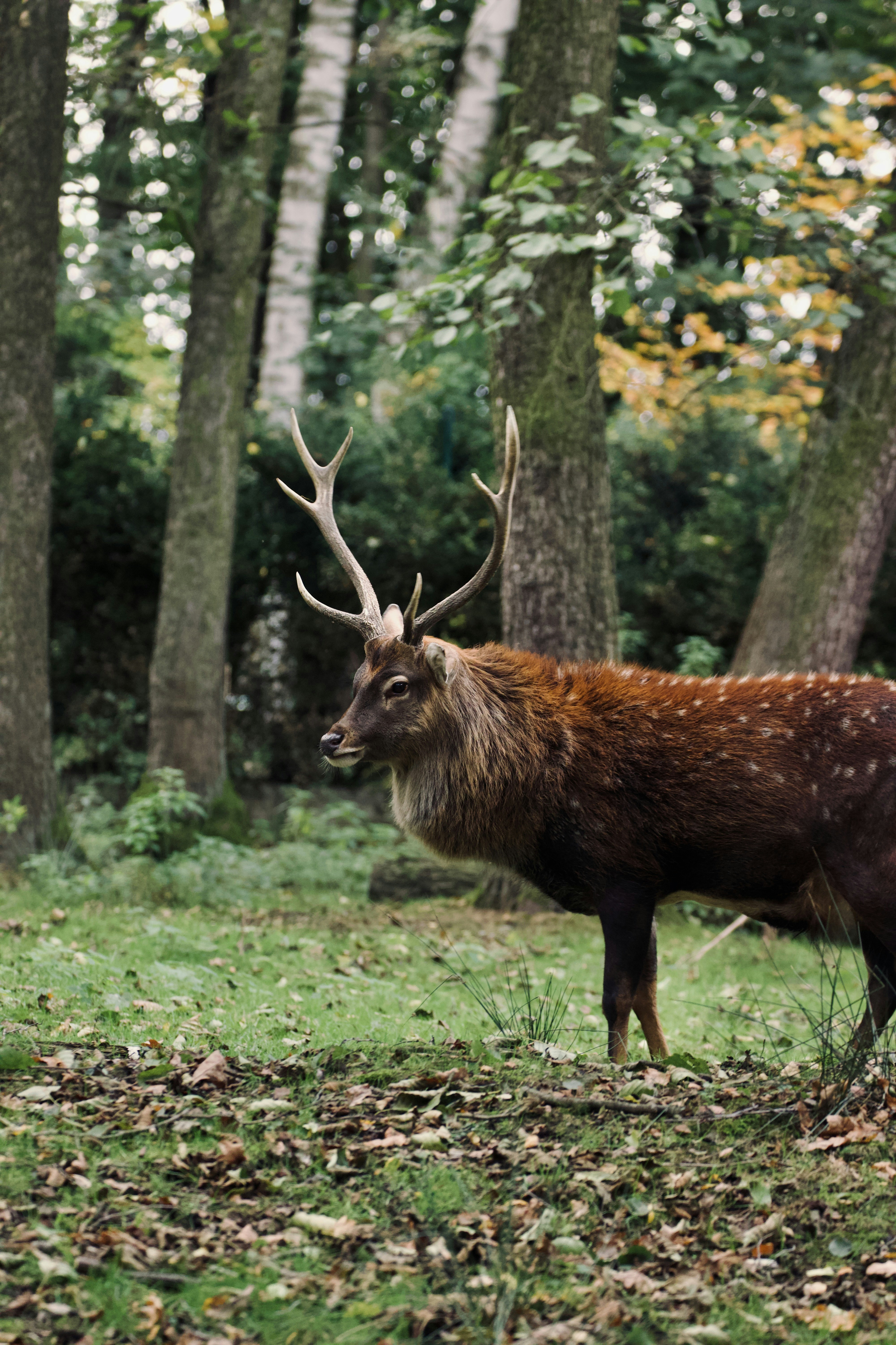 Photo by jakub_neskora