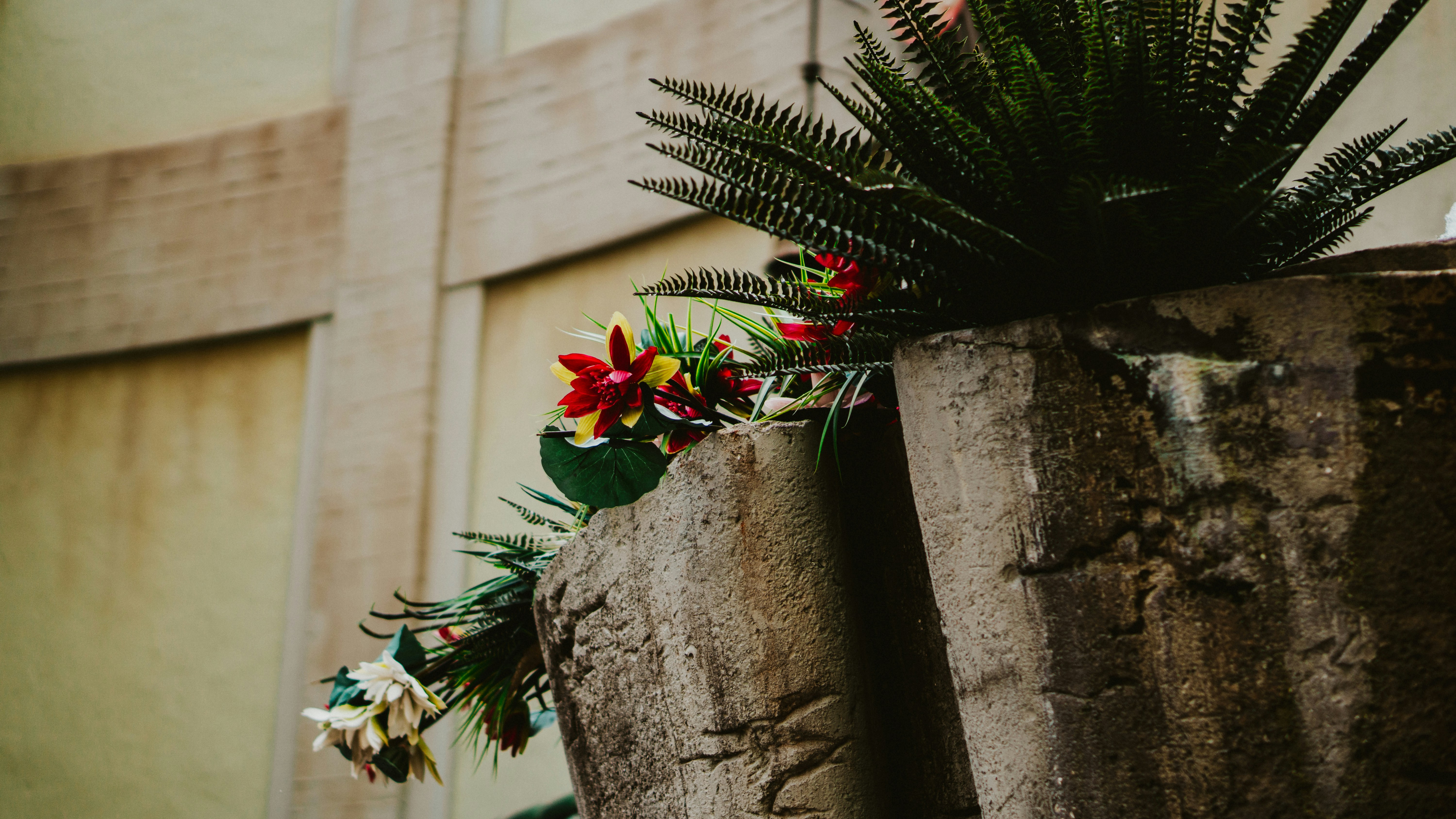 Photo by nickfuentes_