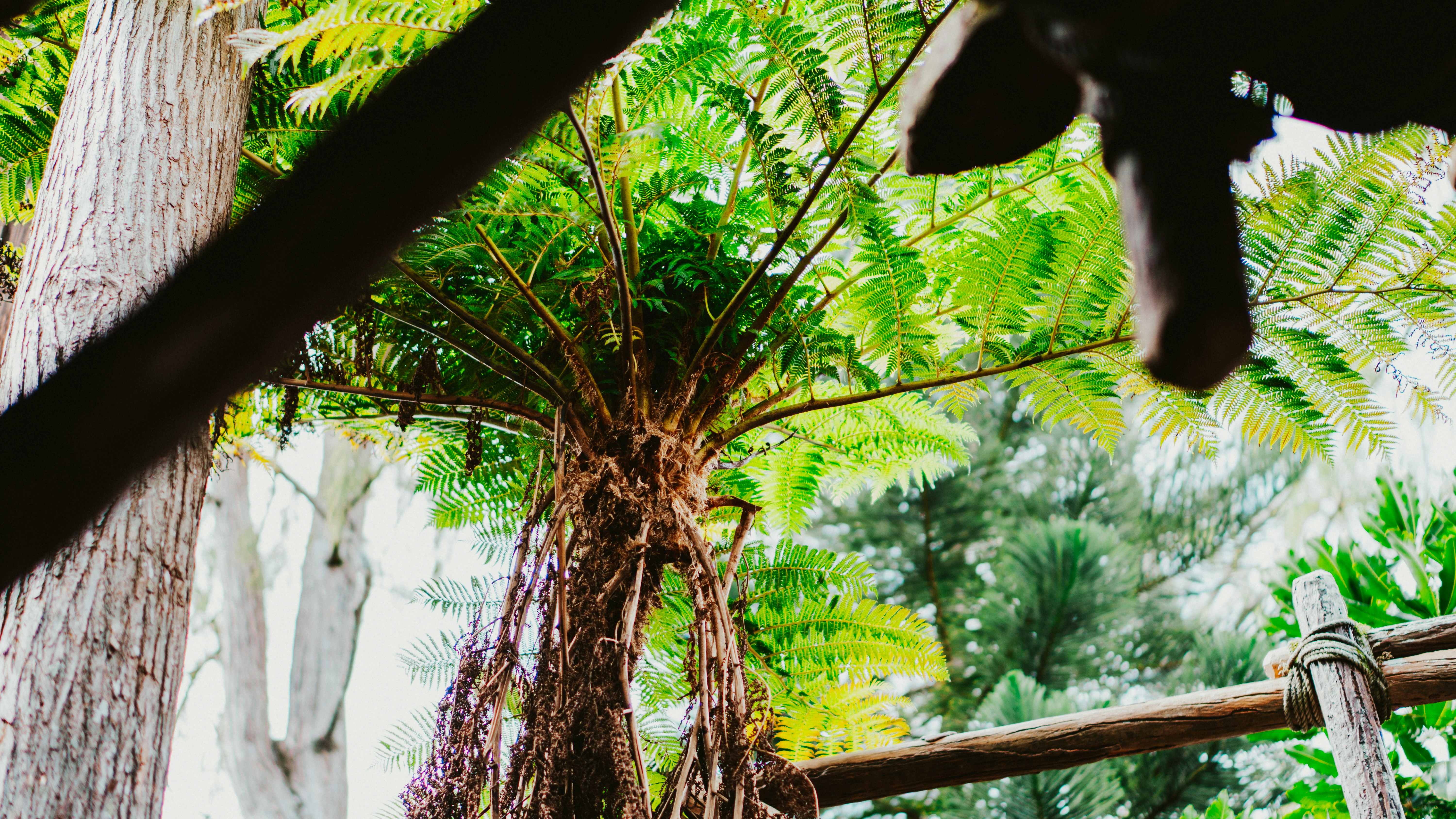 Photo by nickfuentes_