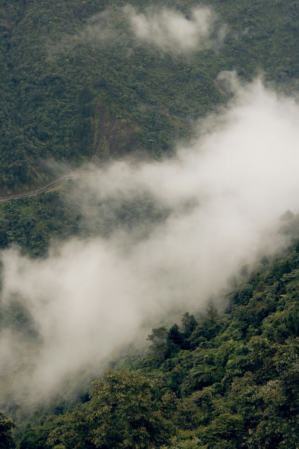 a plane flying over a lush green forest covered hillside