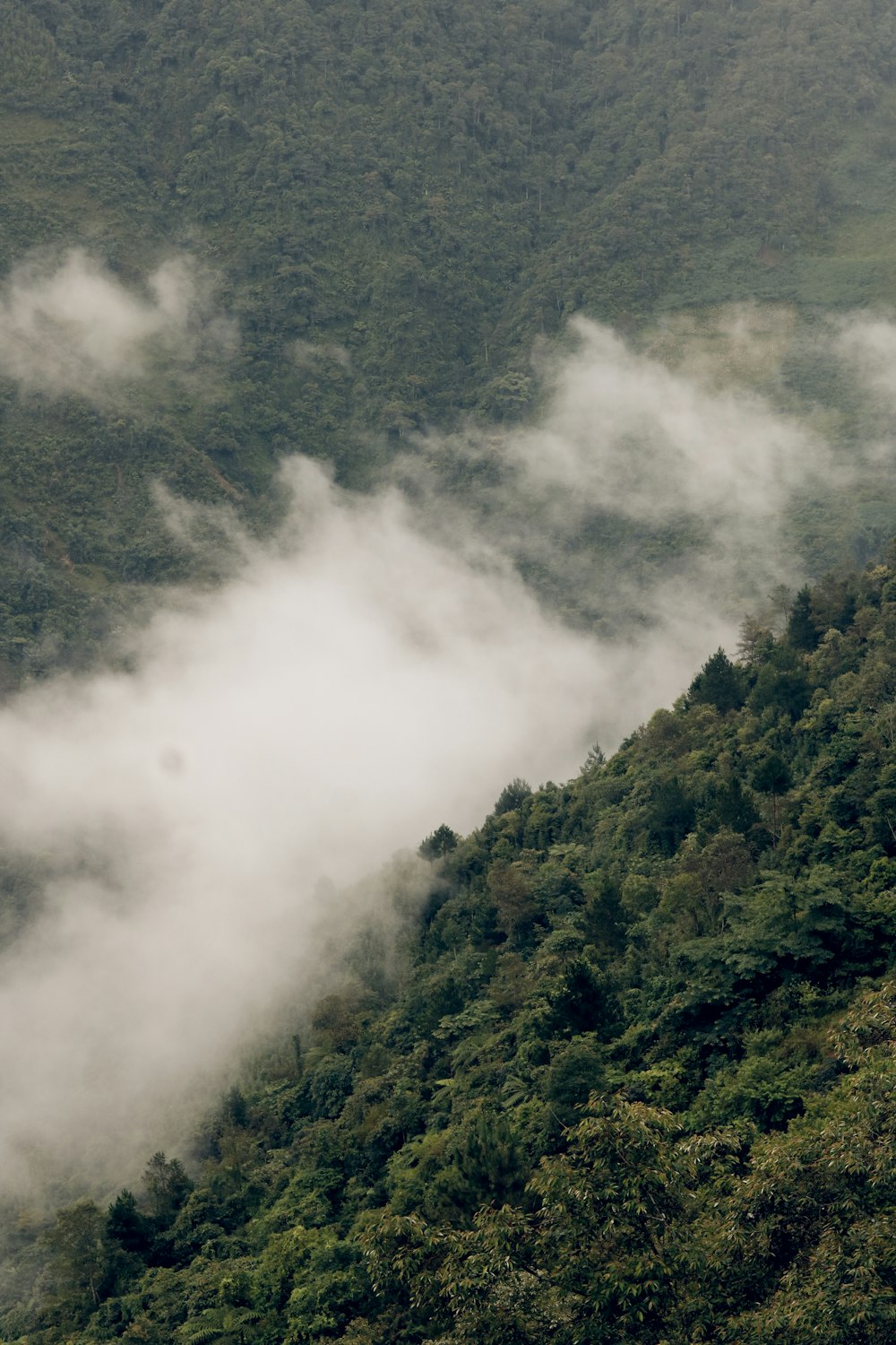 a view of a mountain covered in clouds