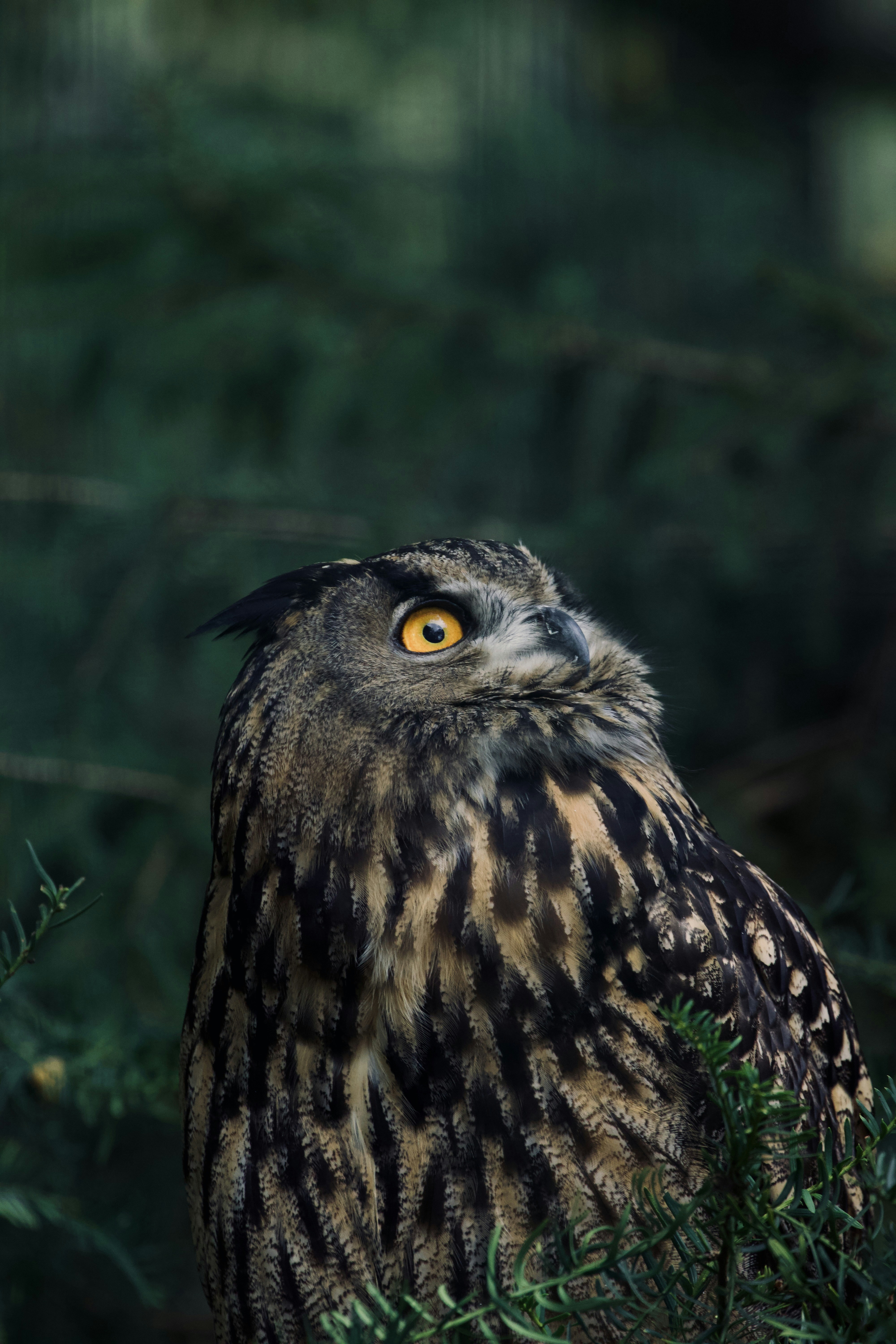 Photo by jakub_neskora