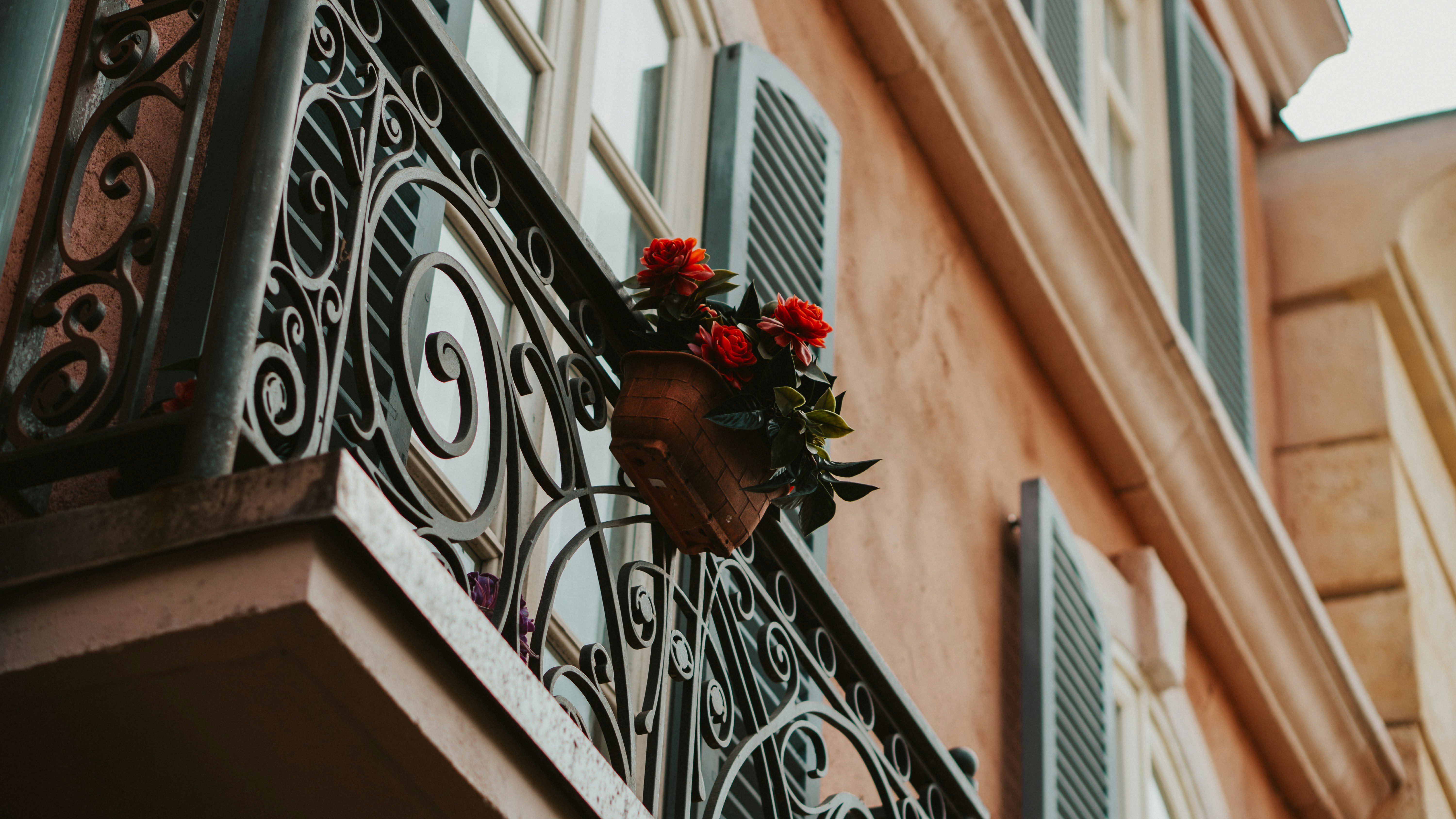 Photo by nickfuentes_