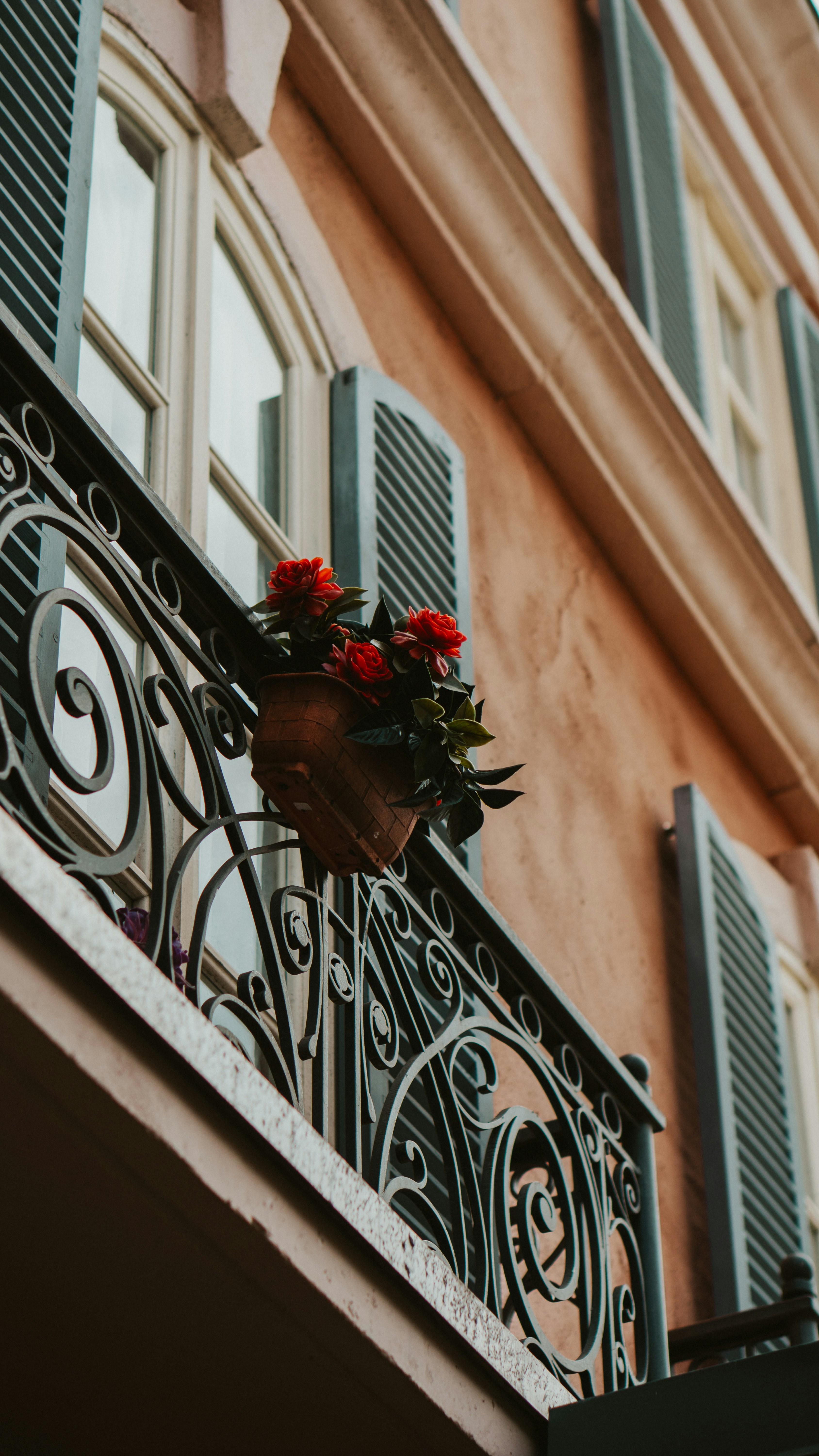 Photo by nickfuentes_