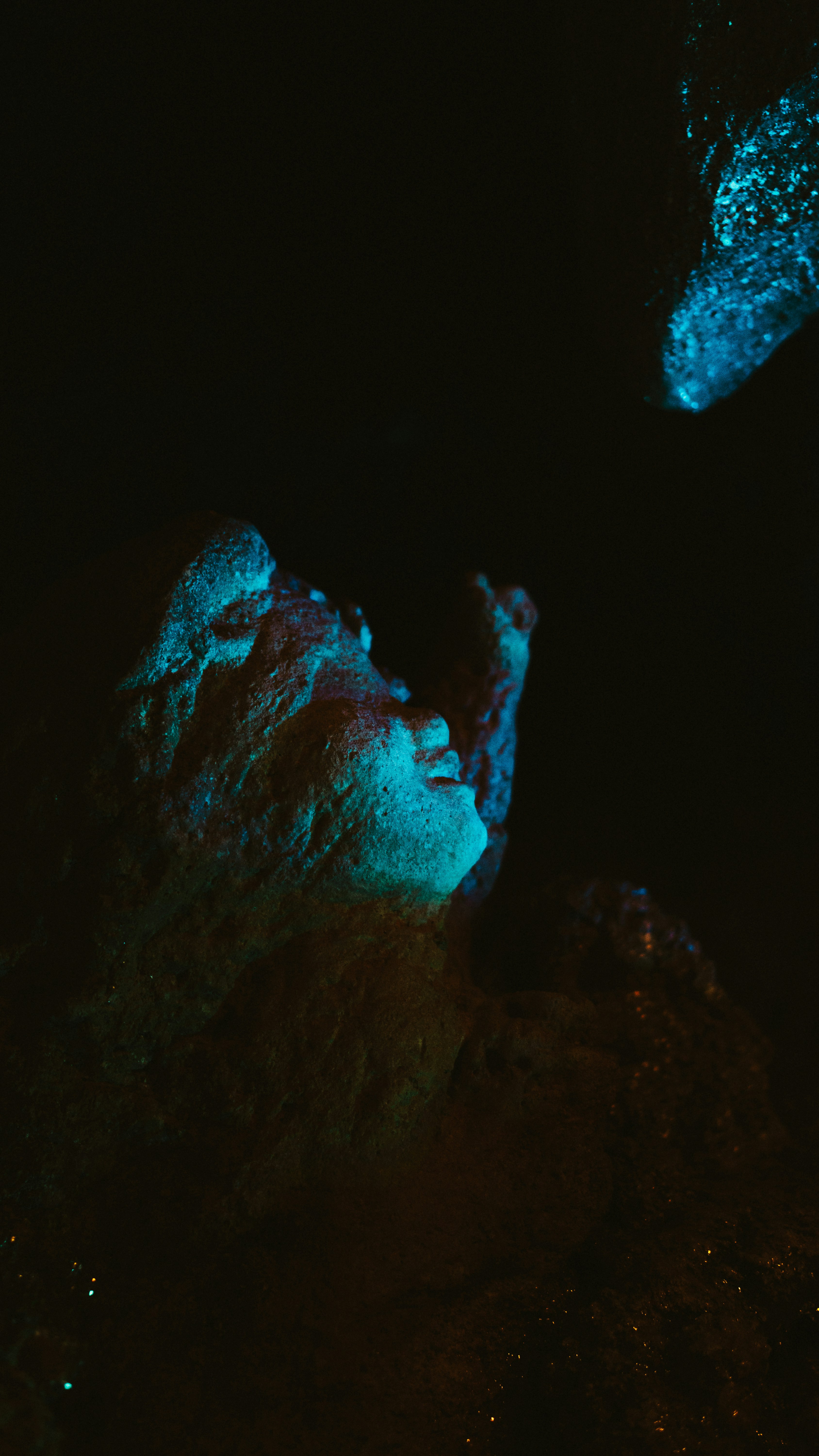 Photo by nickfuentes_