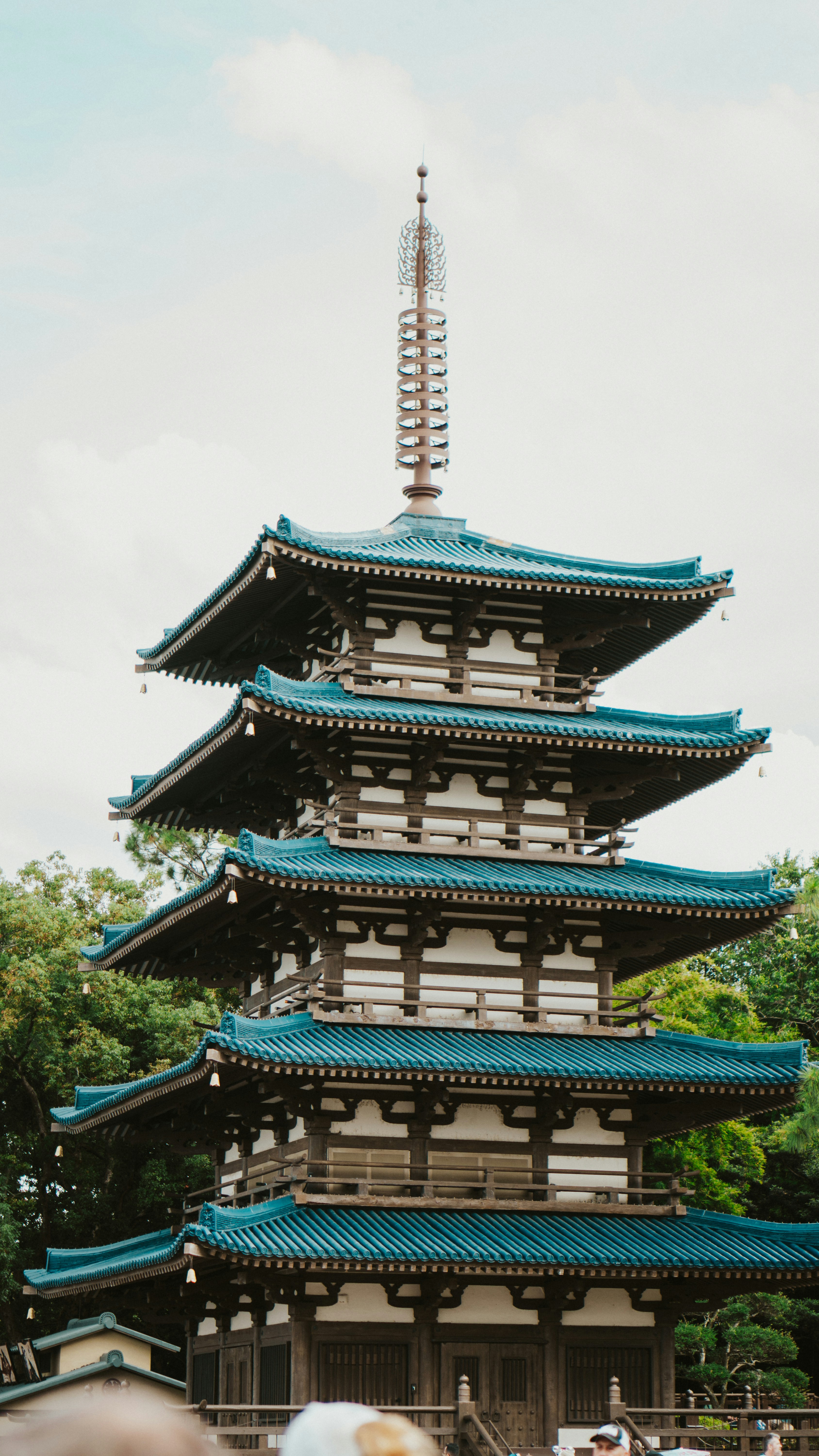 Photo by nickfuentes_