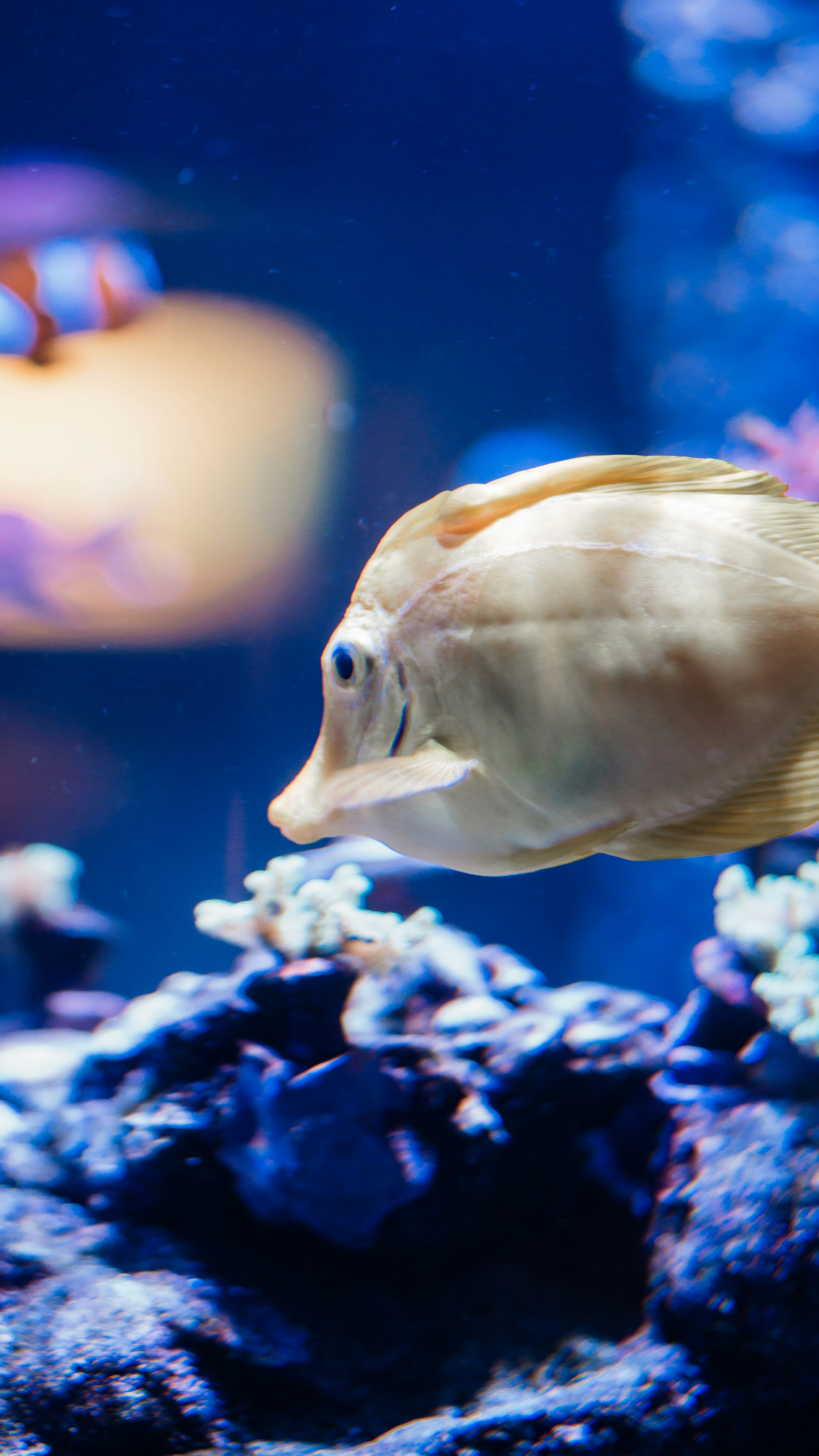 Photo by nickfuentes_