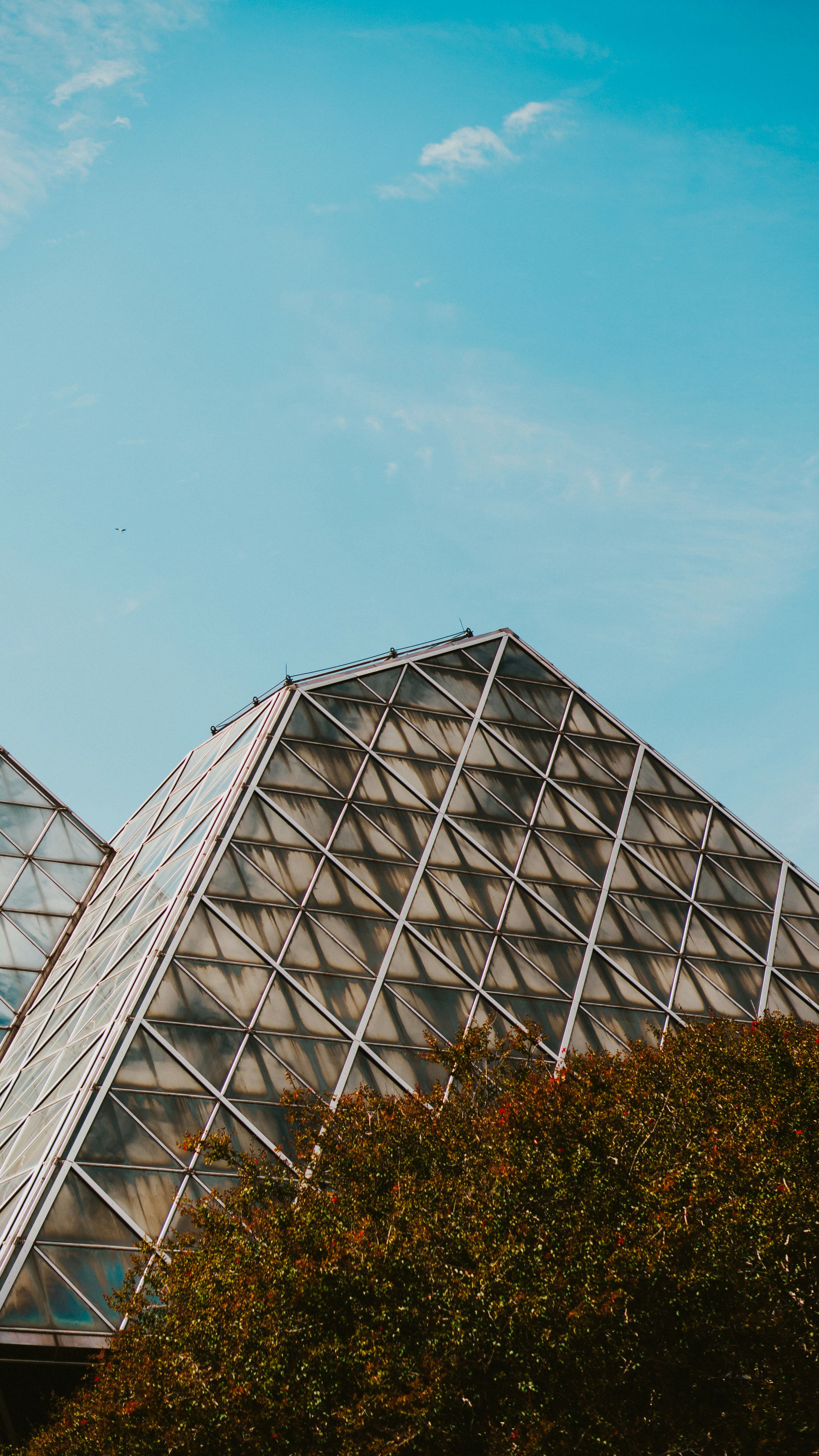 Photo by nickfuentes_