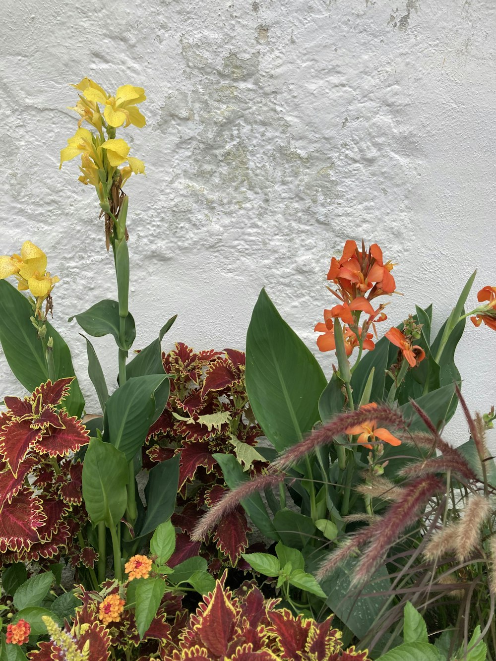 a bunch of flowers that are next to a wall