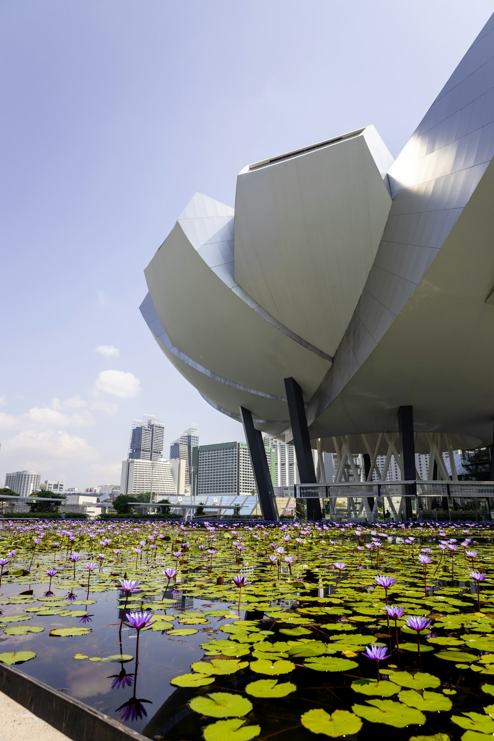 a large building with a lot of water lilies in front of it