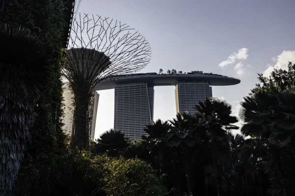 Gardens by the Bay, Singapur