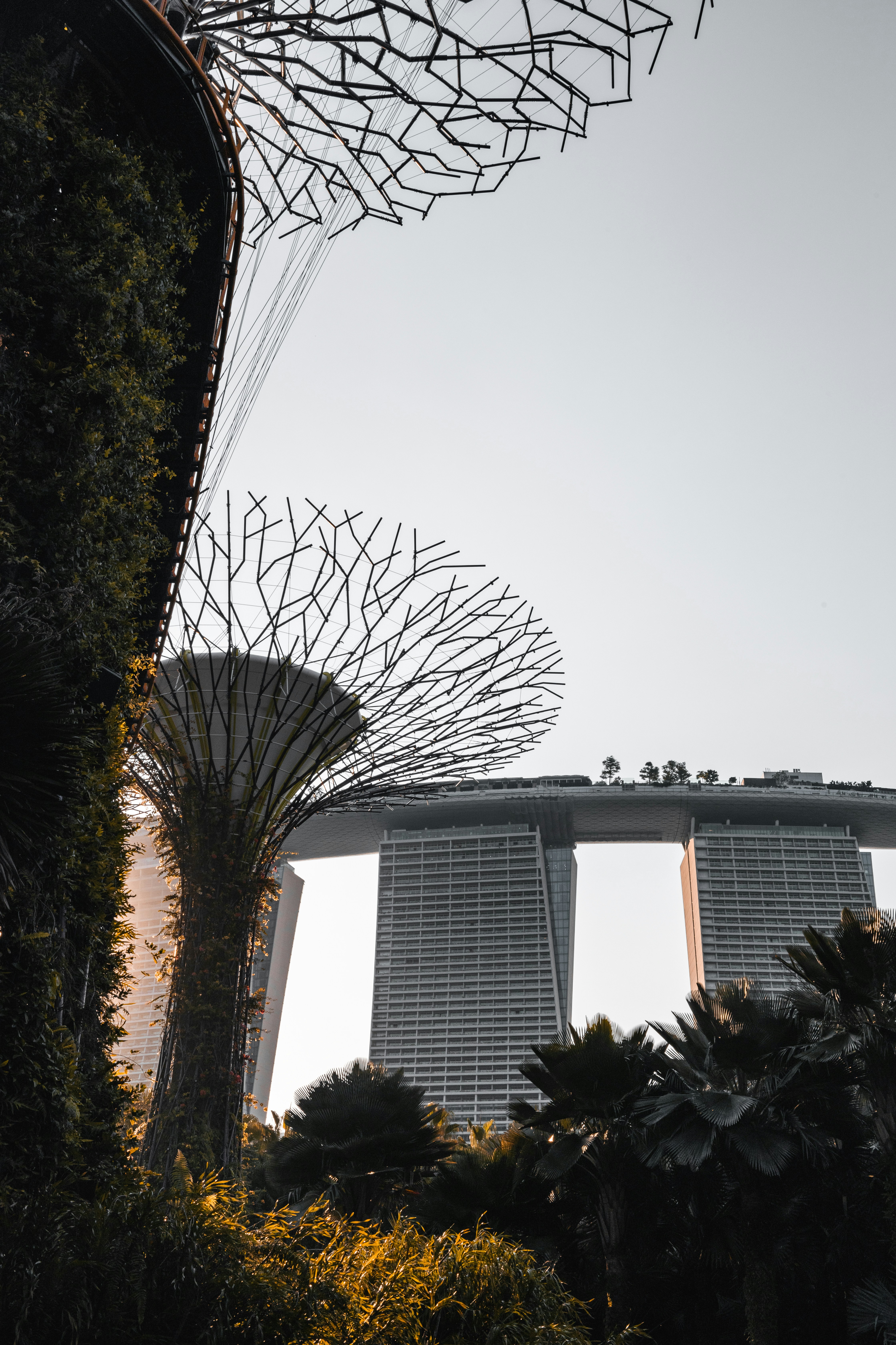 Falling in love with Singapore