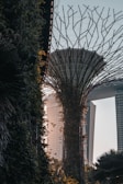A juxtaposition of nature and urban architecture with a tall vertical structure resembling a futuristic tree or tower surrounded by greenery, set against a backdrop of modern high-rise buildings in warm lighting.