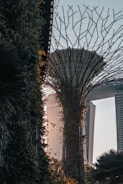 An inspiring image of nature integrated with technology.