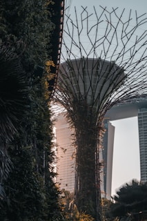 A creative concept image merging nature and technology, illustrating harmony between innovation and the environment.