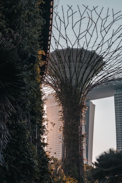 A juxtaposition of nature and urban architecture with a tall vertical structure resembling a futuristic tree or tower surrounded by greenery, set against a backdrop of modern high-rise buildings in warm lighting.