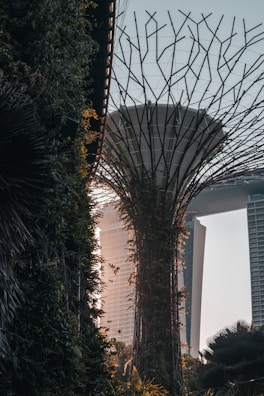 A juxtaposition of nature and urban architecture with a tall vertical structure resembling a futuristic tree or tower surrounded by greenery, set against a backdrop of modern high-rise buildings in warm lighting.