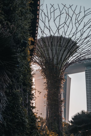 A conceptual design illustrating the coexistence of technology and nature.