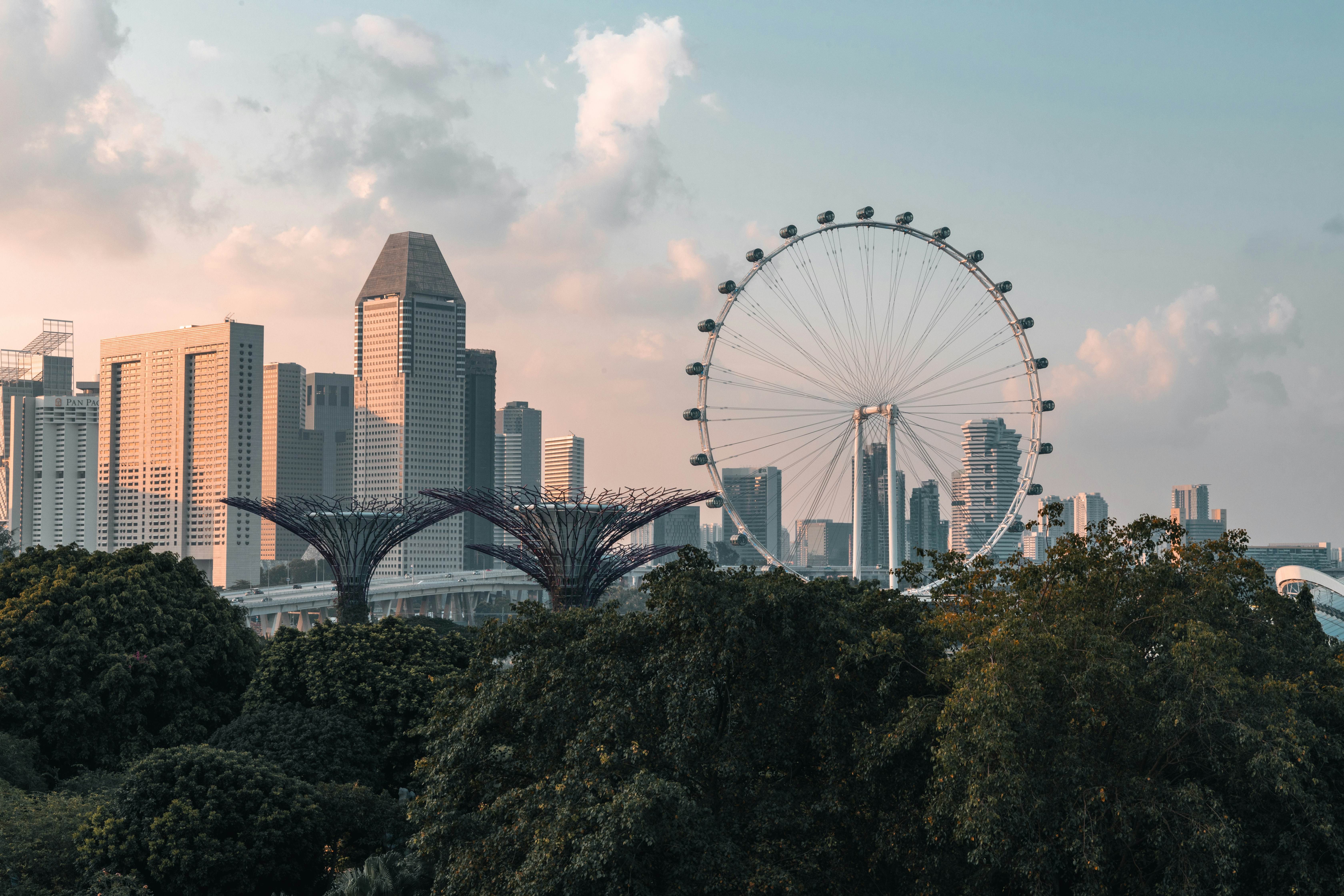 Falling in love with Singapore