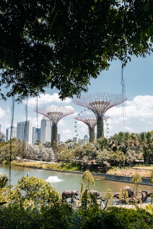 A lush, green park landscape features towering artificial structures resembling trees. In the background, a skyline of modern skyscrapers is visible. A body of water with a gentle fountain is surrounded by dense foliage and sculptures. The sky is bright and clear, enhancing the overall vibrant scenery.