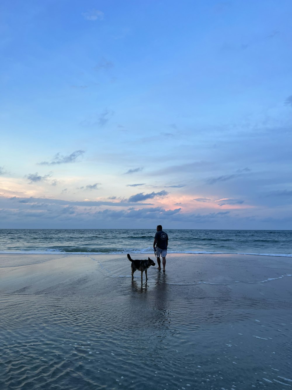 eine Person und ein Hund, die am Strand spazieren gehen