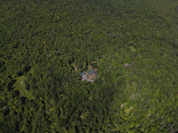 An aerial view of a dense forest with a clearing in the center where a building complex is situated. The structure comprises several buildings with green roofs, surrounded by vast greenery. The forest canopy is thick, with varying shades of green, indicating a lush and vibrant environment.