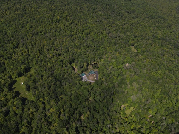 An aerial view of a dense forest with a clearing in the center where a building complex is situated. The structure comprises several buildings with green roofs, surrounded by vast greenery. The forest canopy is thick, with varying shades of green, indicating a lush and vibrant environment.