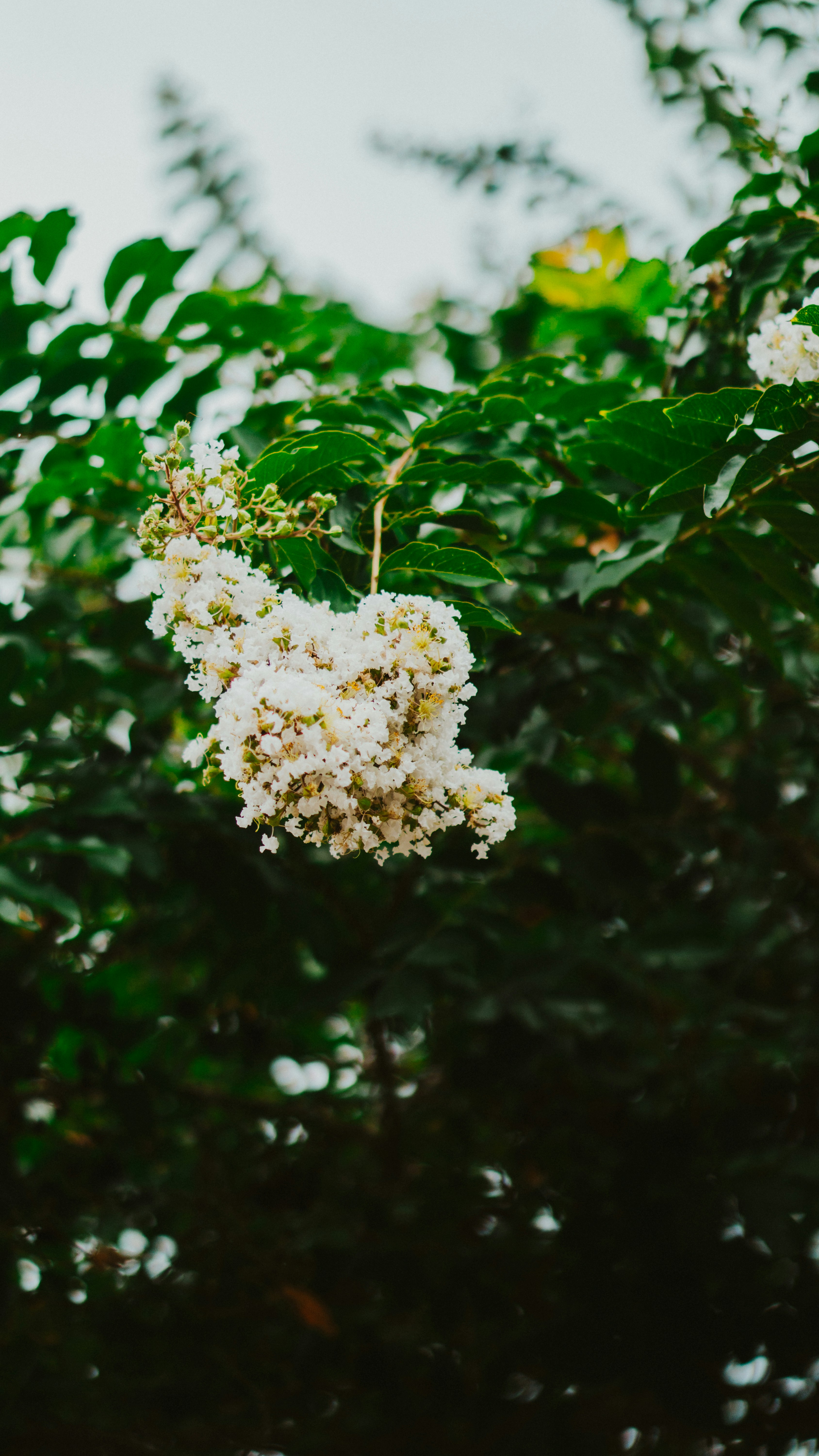 Photo by nickfuentes_