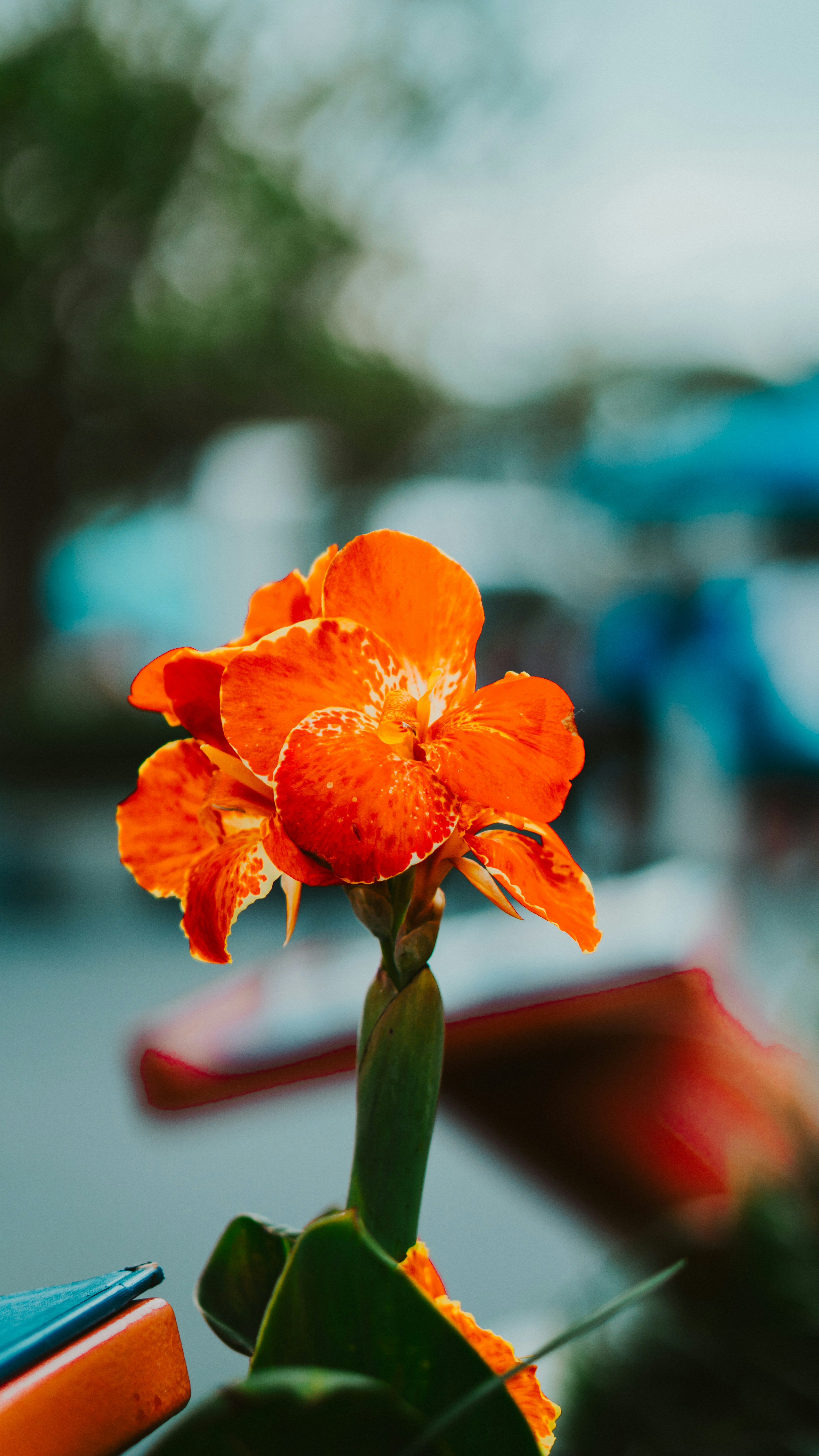 Photo by nickfuentes_