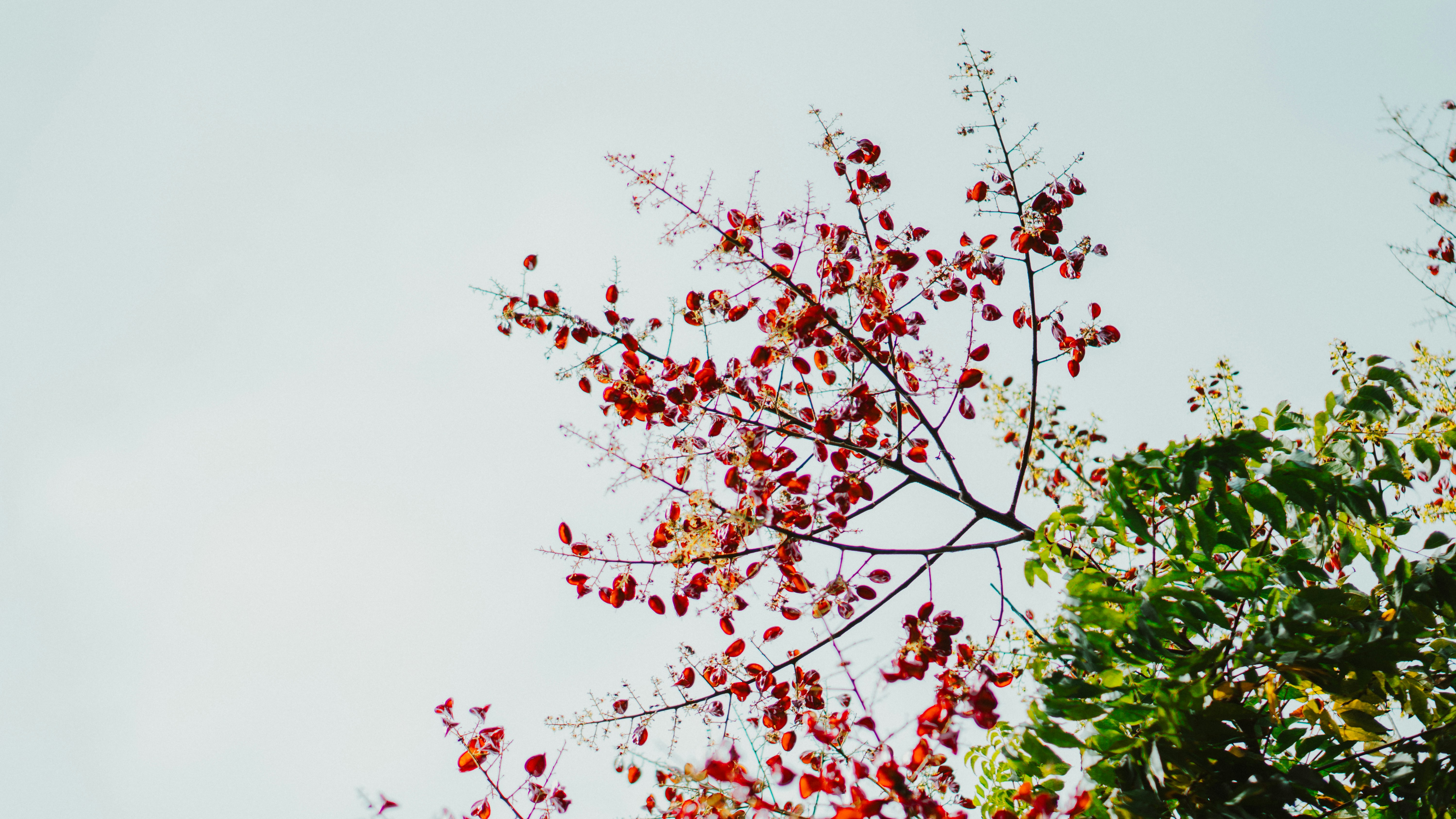 Photo by nickfuentes_