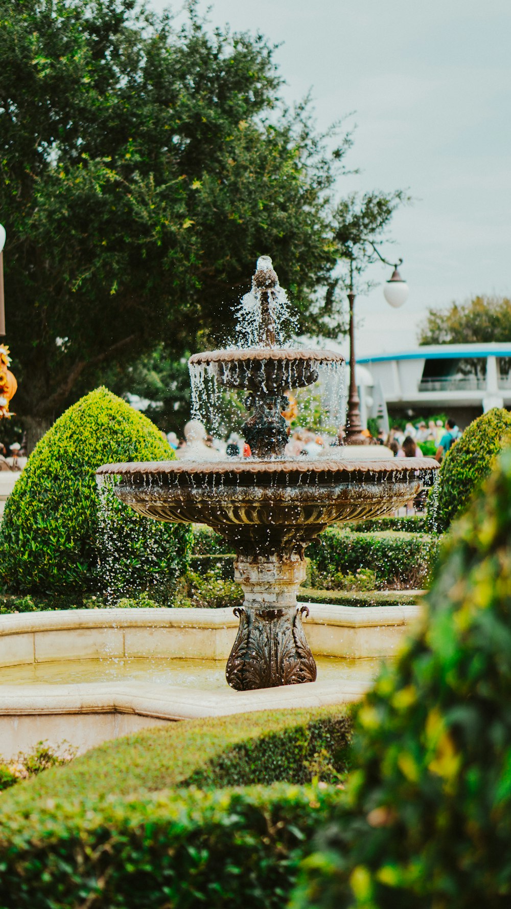 a water fountain in a park surrounded by trees