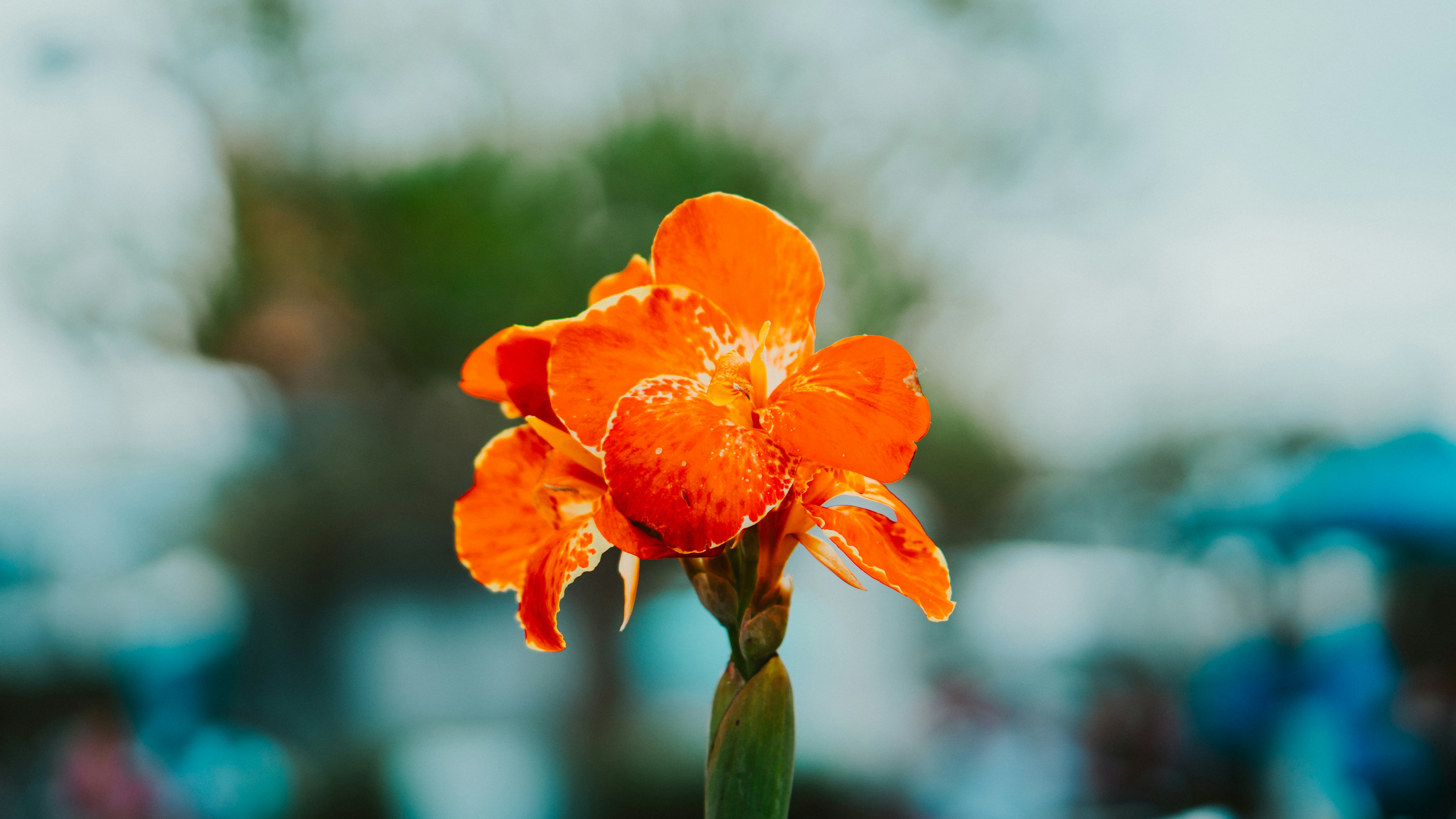 Photo by nickfuentes_