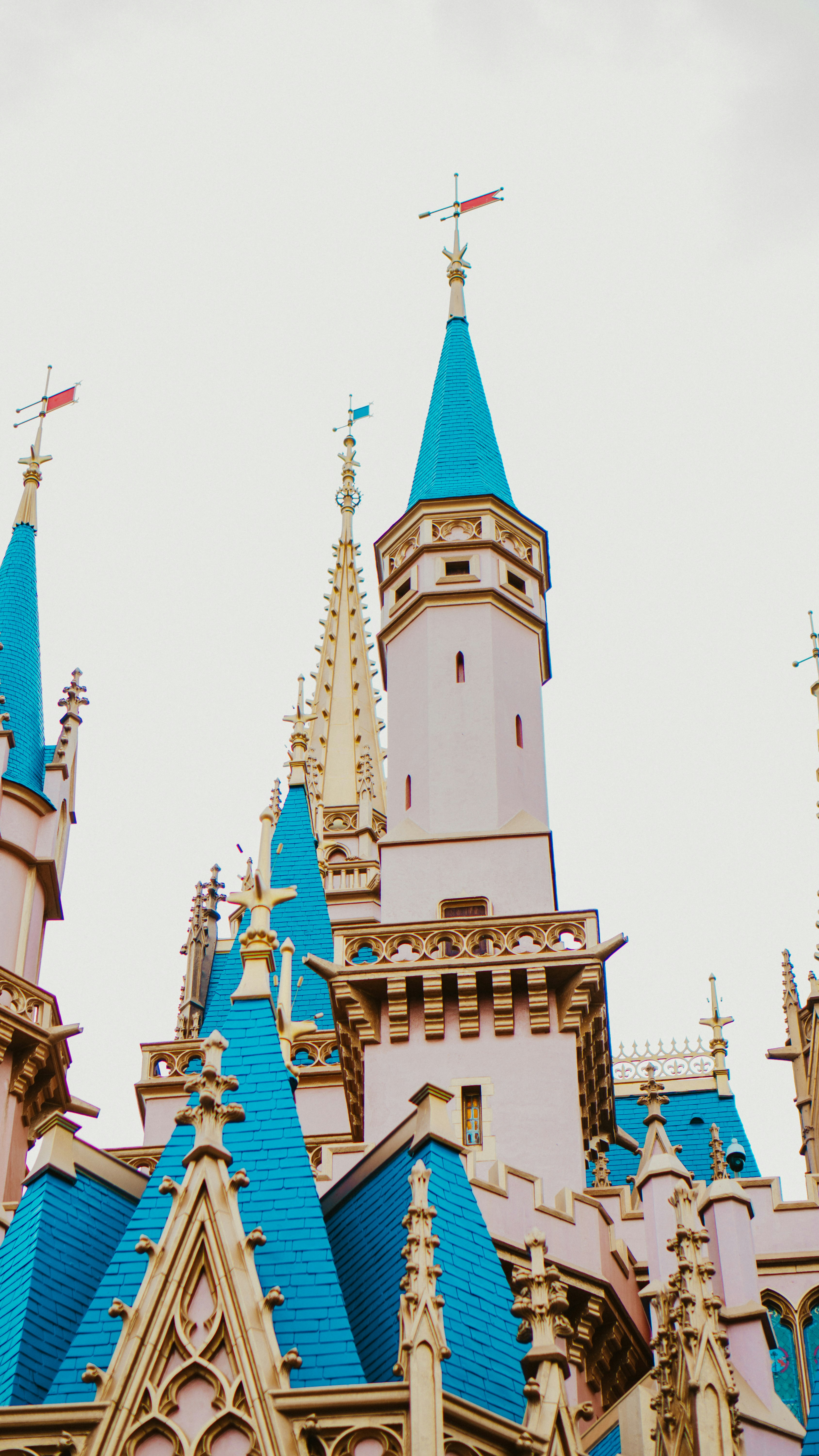 Photo by nickfuentes_