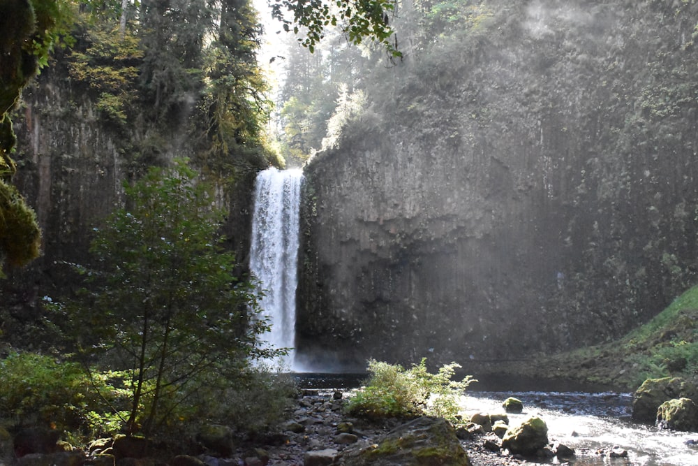 a waterfall in the middle of a forest